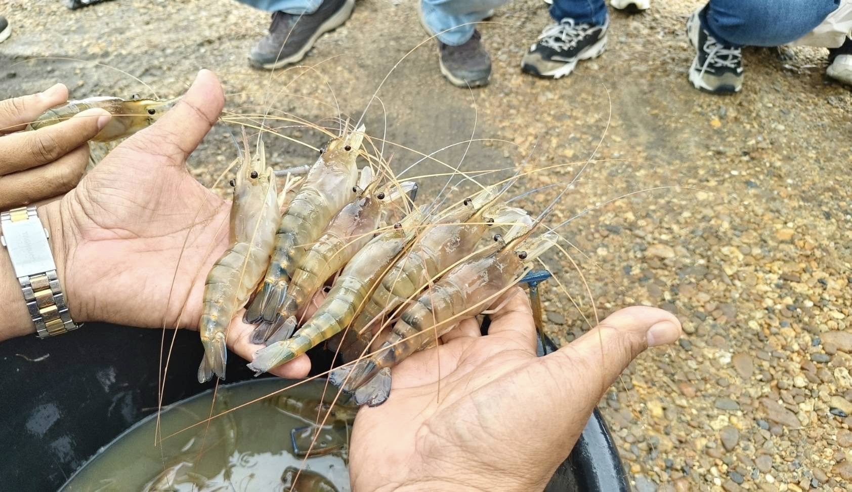 รูป ประกอบบทความ4