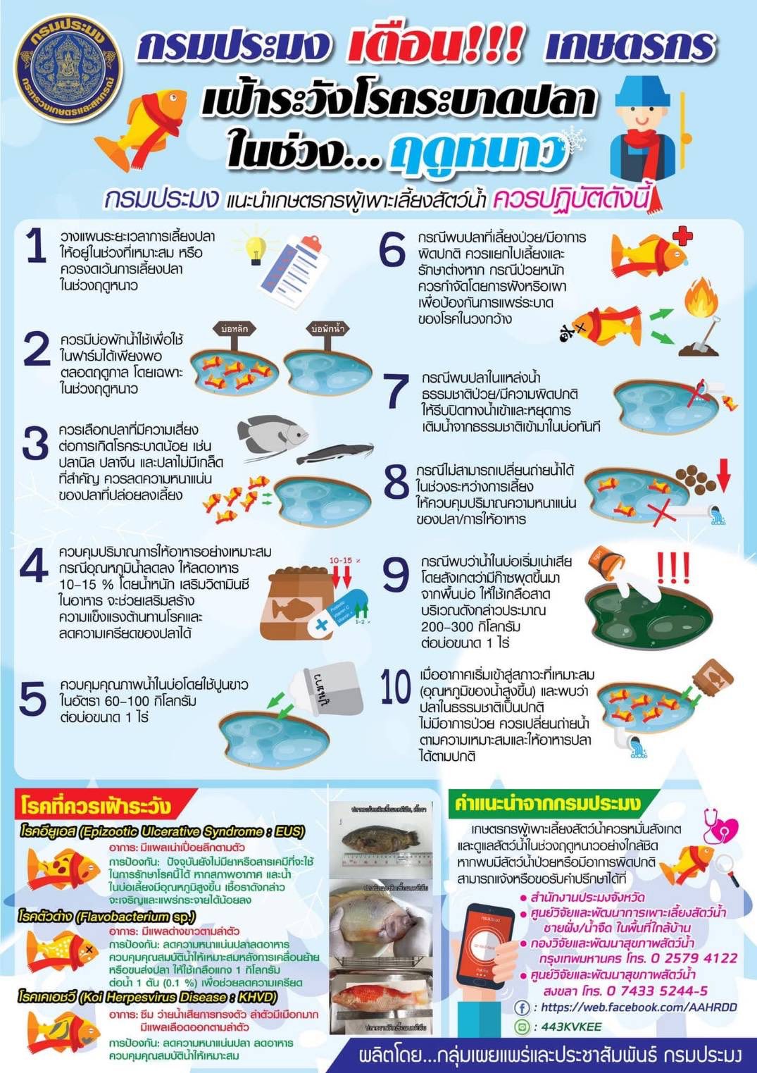 รูป ประกอบบทความ4