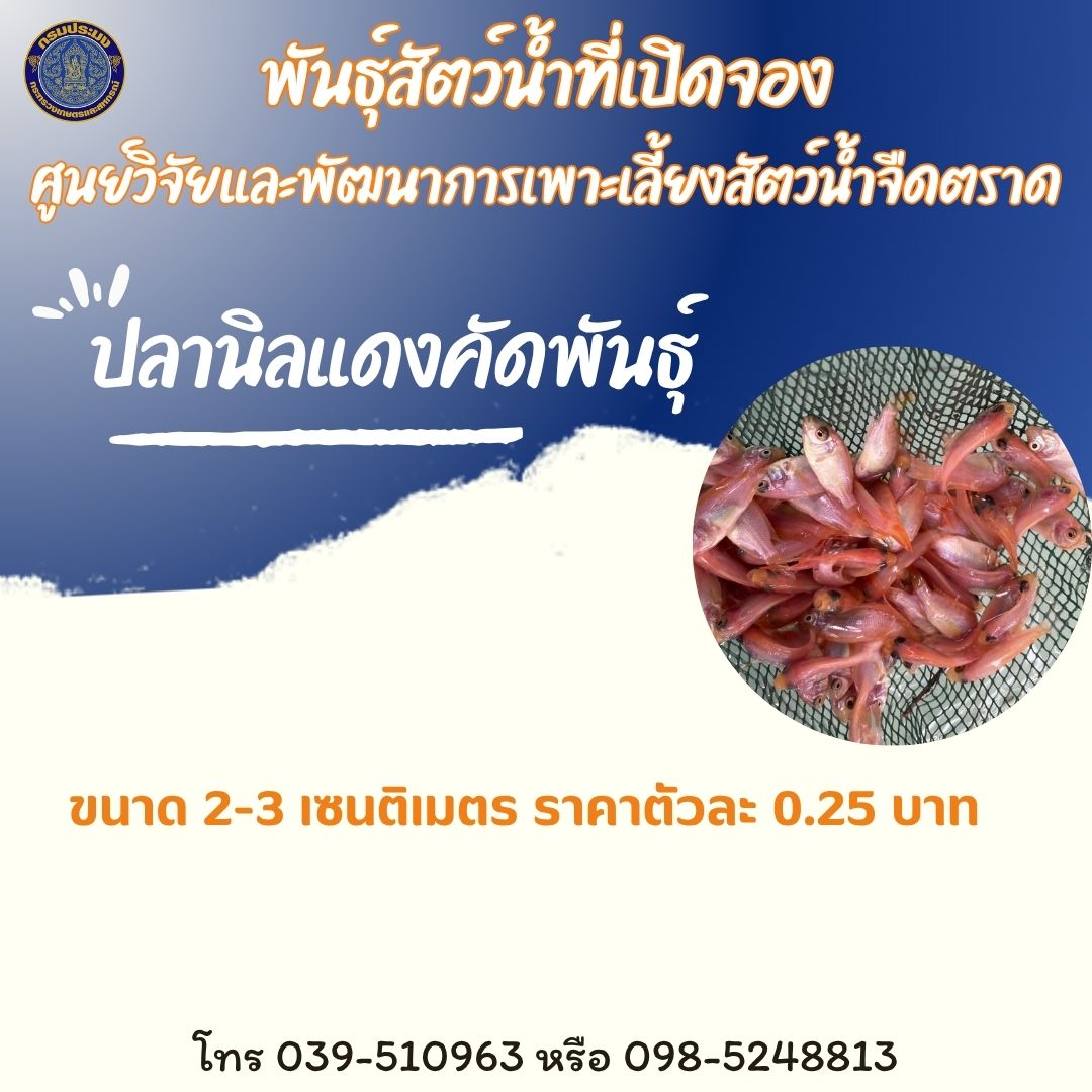 รูป ประกอบบทความ1