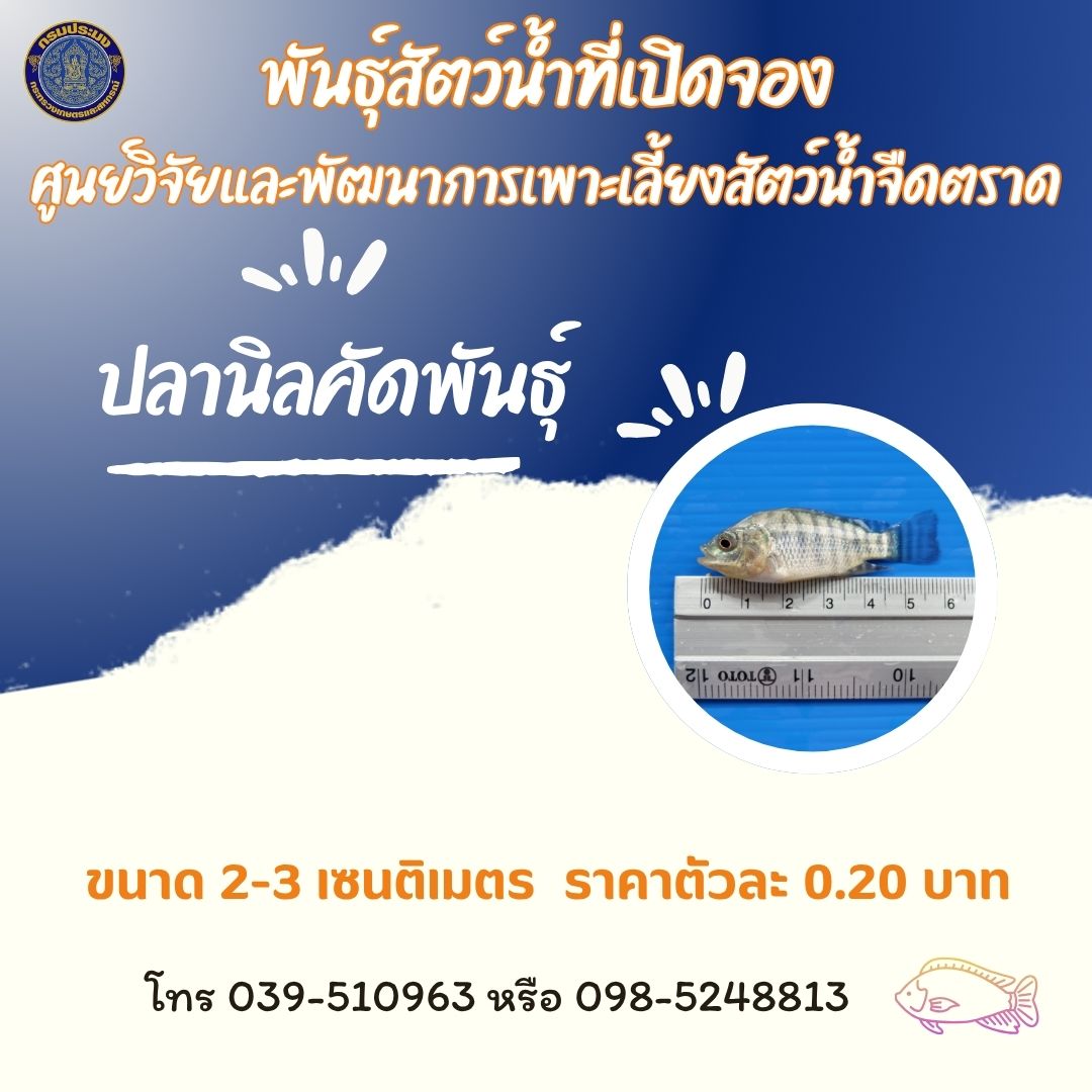 พันธุ์สัตว์น้ำที่เปิดจอง ประจำ