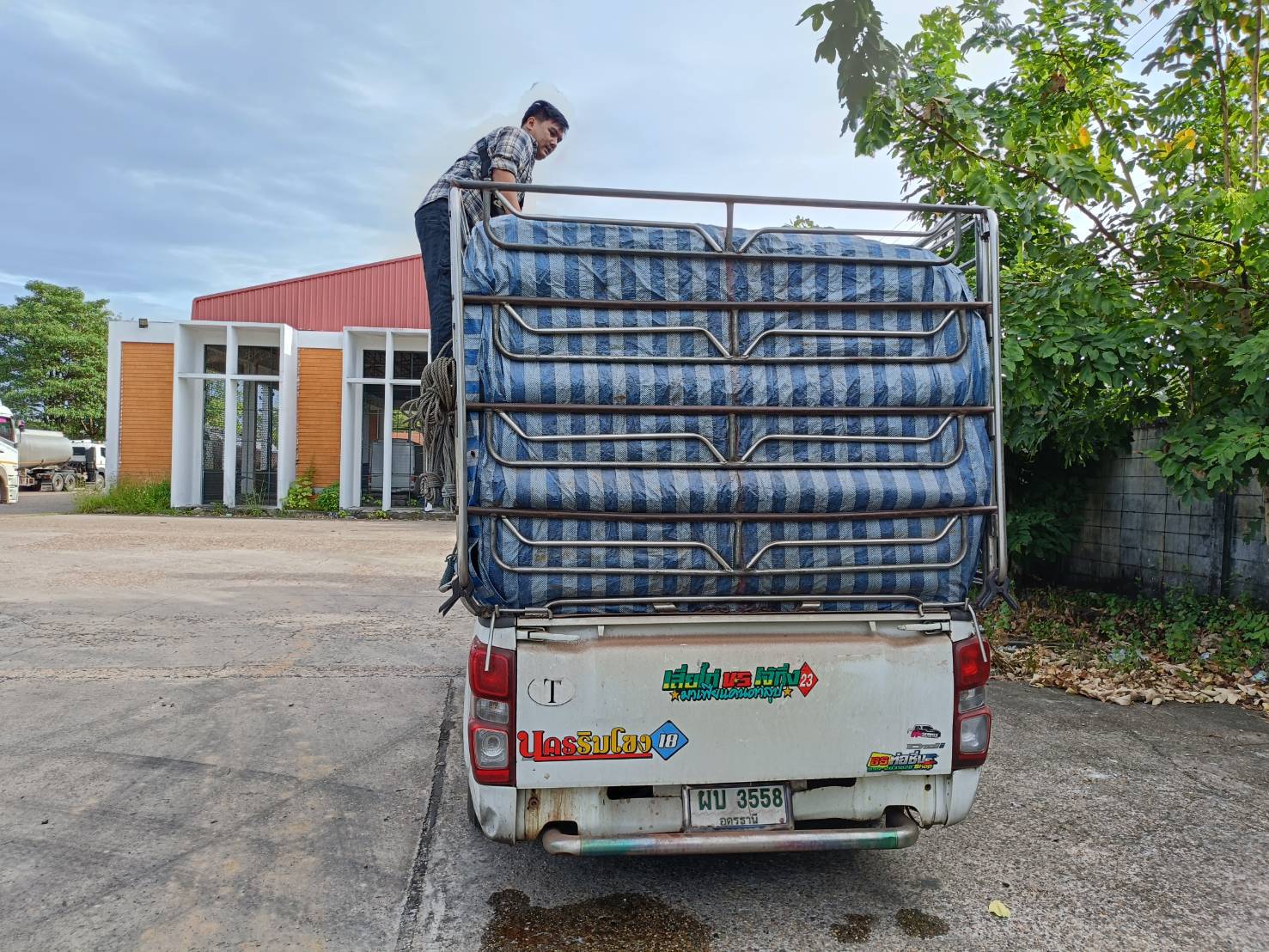 รูป ประกอบบทความ2