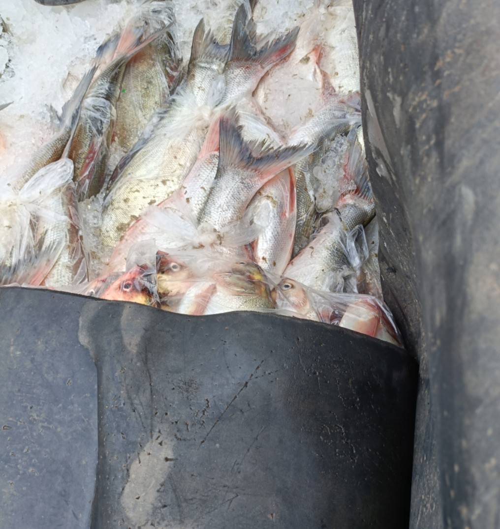 ข่าวกิจกรรมวันที่ 3 พฤศจิกายน 