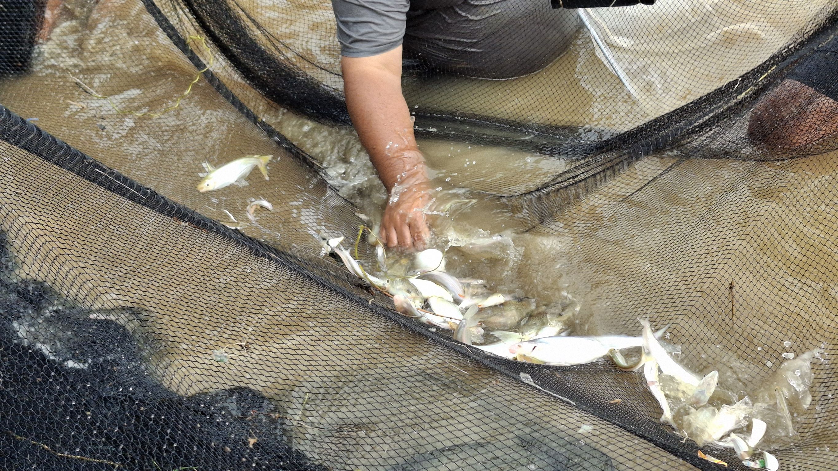 ร่วมเป็นผู้กำกับดูแล ในการทำการประมงเพื่อประโยชน์ทางวิชาการ 