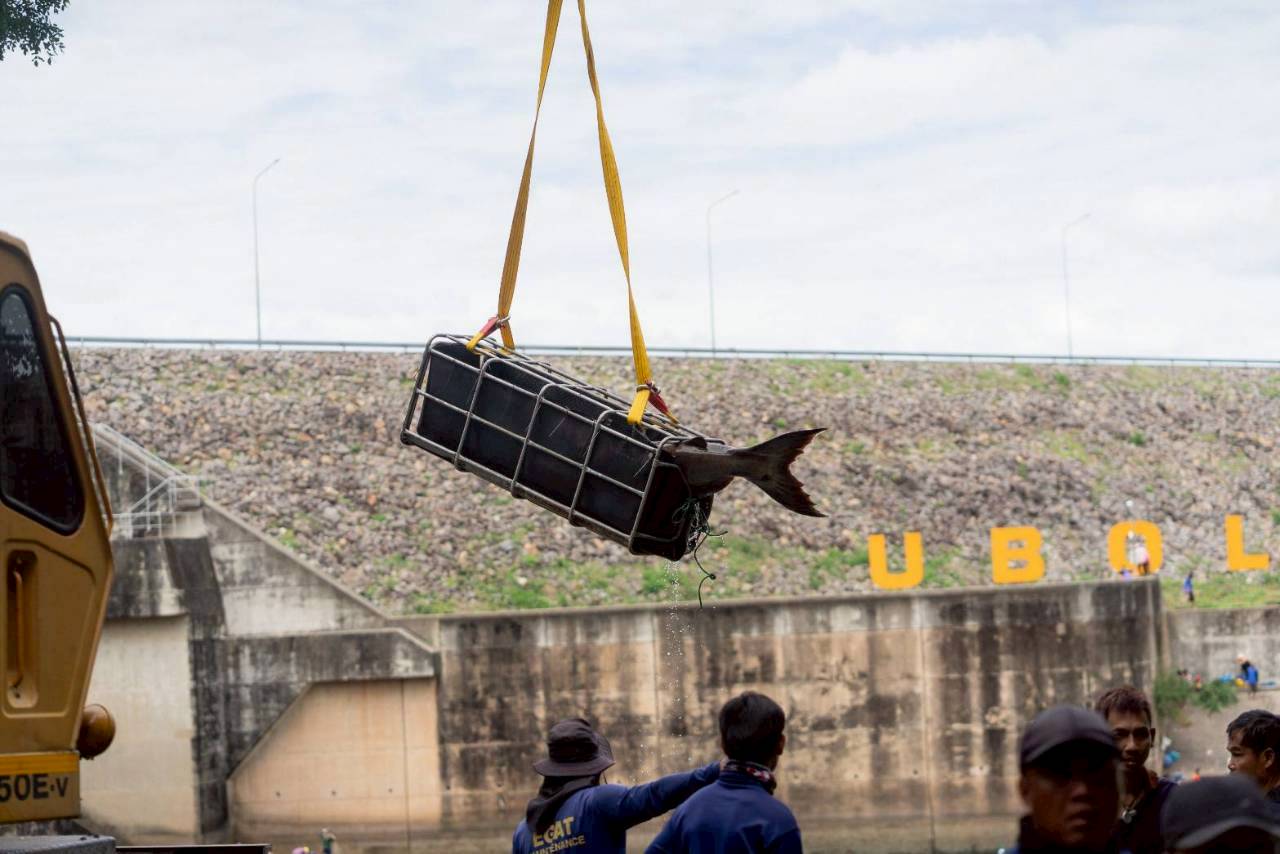 โครงการเครือข่ายประมงร่วมอาสา พาปลากลับถิ่น..คลิก