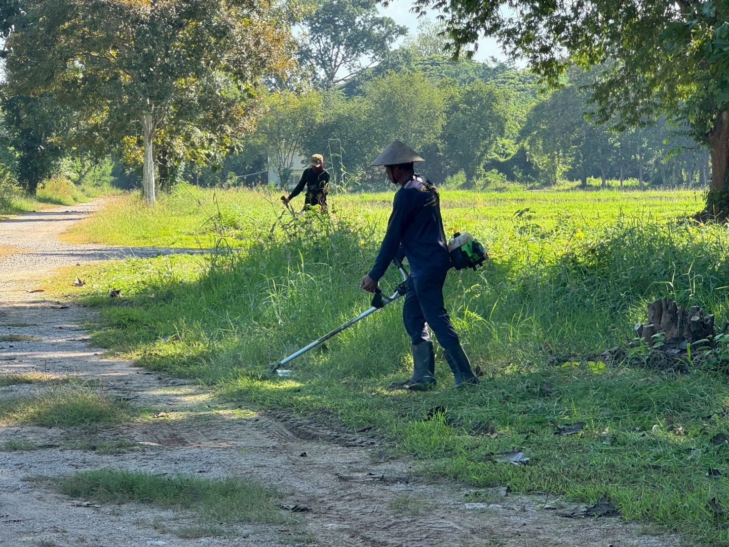 กิจกรรมจิตอาสาบำเพ็ญสาธารณประโยชน์และบำเพ็ญสาธารณกุศลเนื่องในวันนวมินทรมหาราช 13 ตุลาคม 2568  ..คลิก