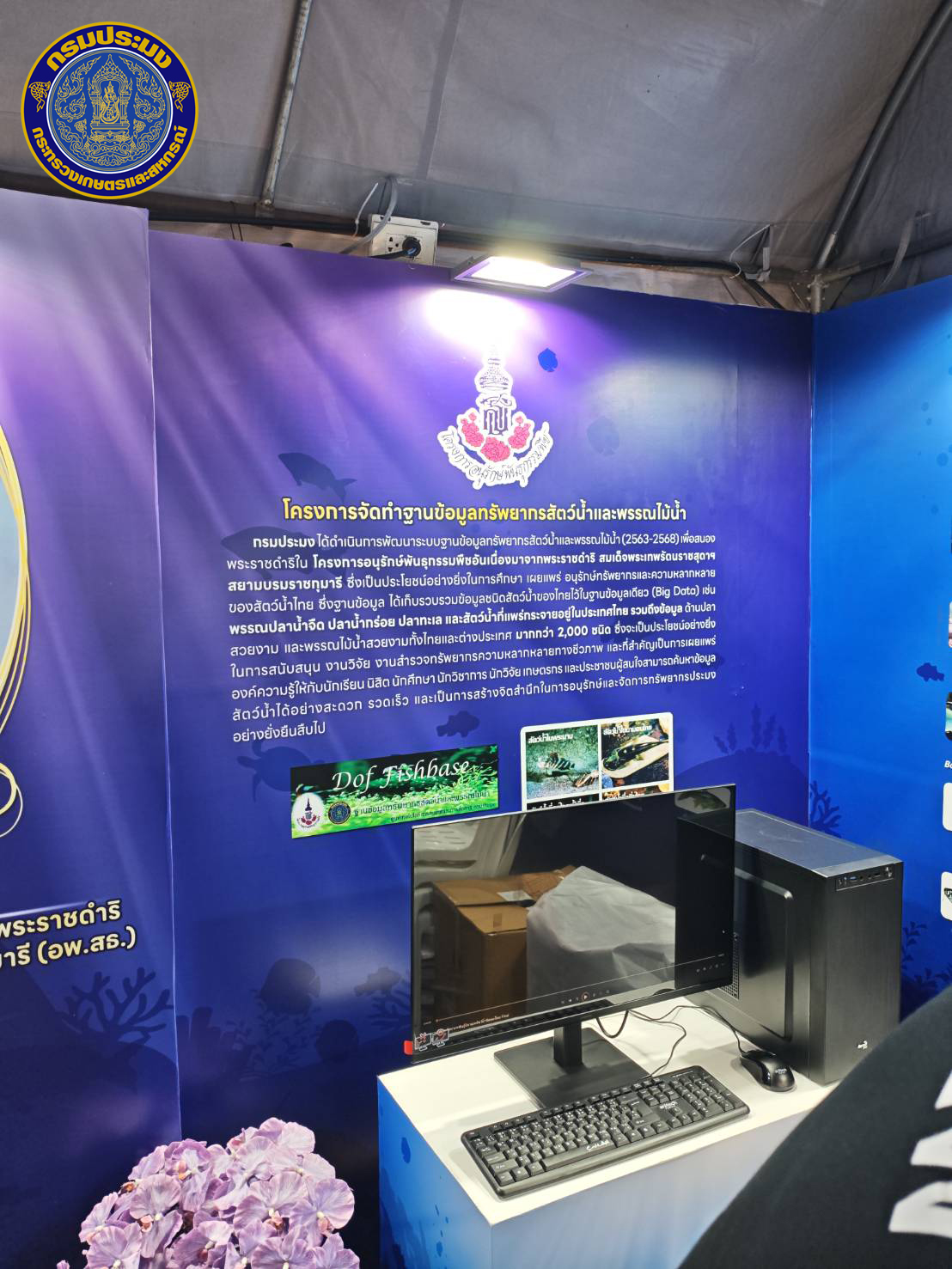 รูป ประกอบบทความ7