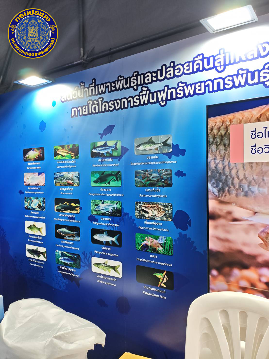 รูป ประกอบบทความ3