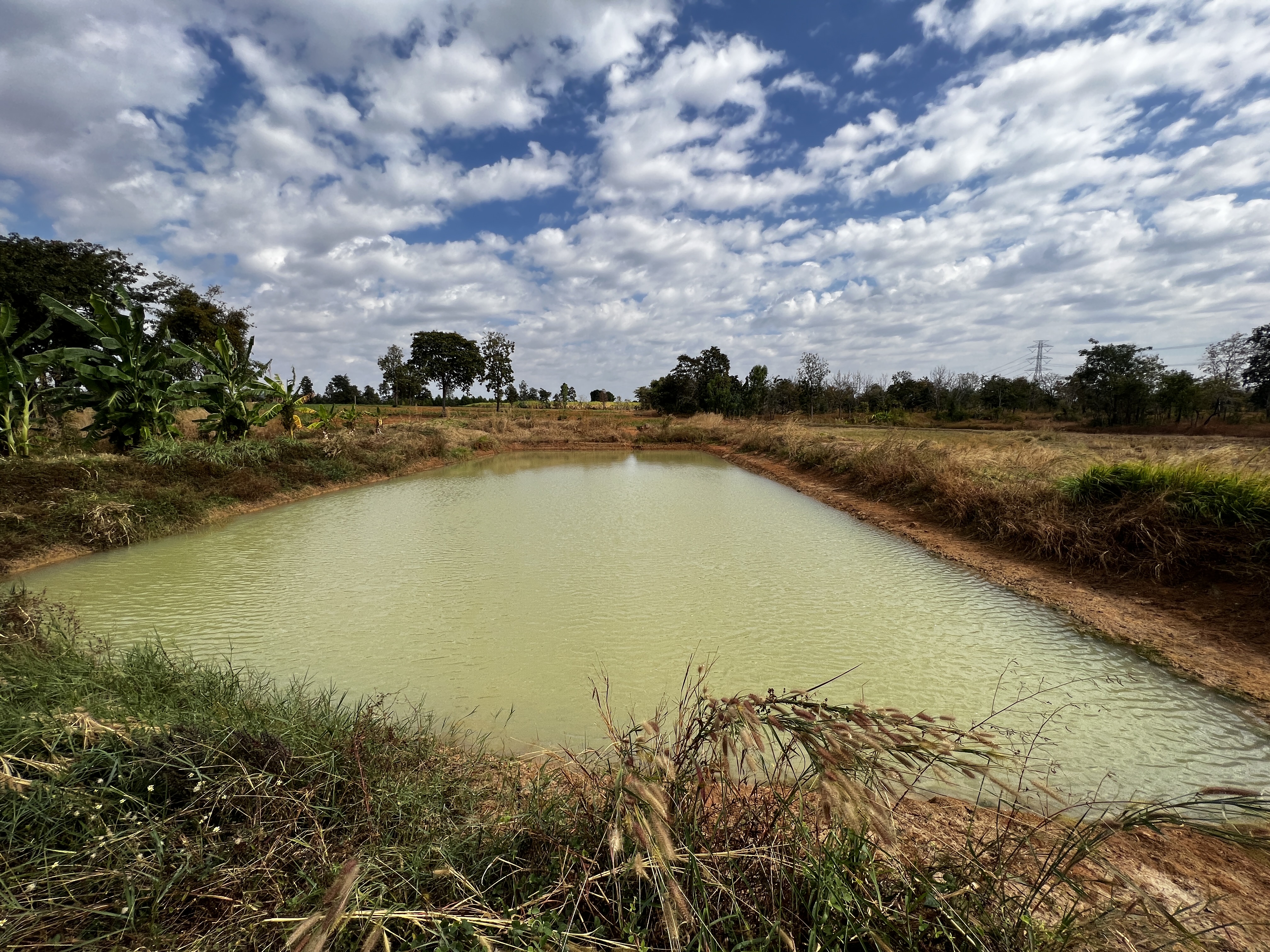 คัดเลือกและเตรียมความพร้อมเข้าร่วมโครงการพัฒนาเกษตรกรรมยั่งยืน กิจกรรมเกษตรทฤษฎีใหม่ ประจำปีงบประมาณ 2569 ในพื้นที่ อ.คอนสวรรค์ จ.ชัยภูมิ