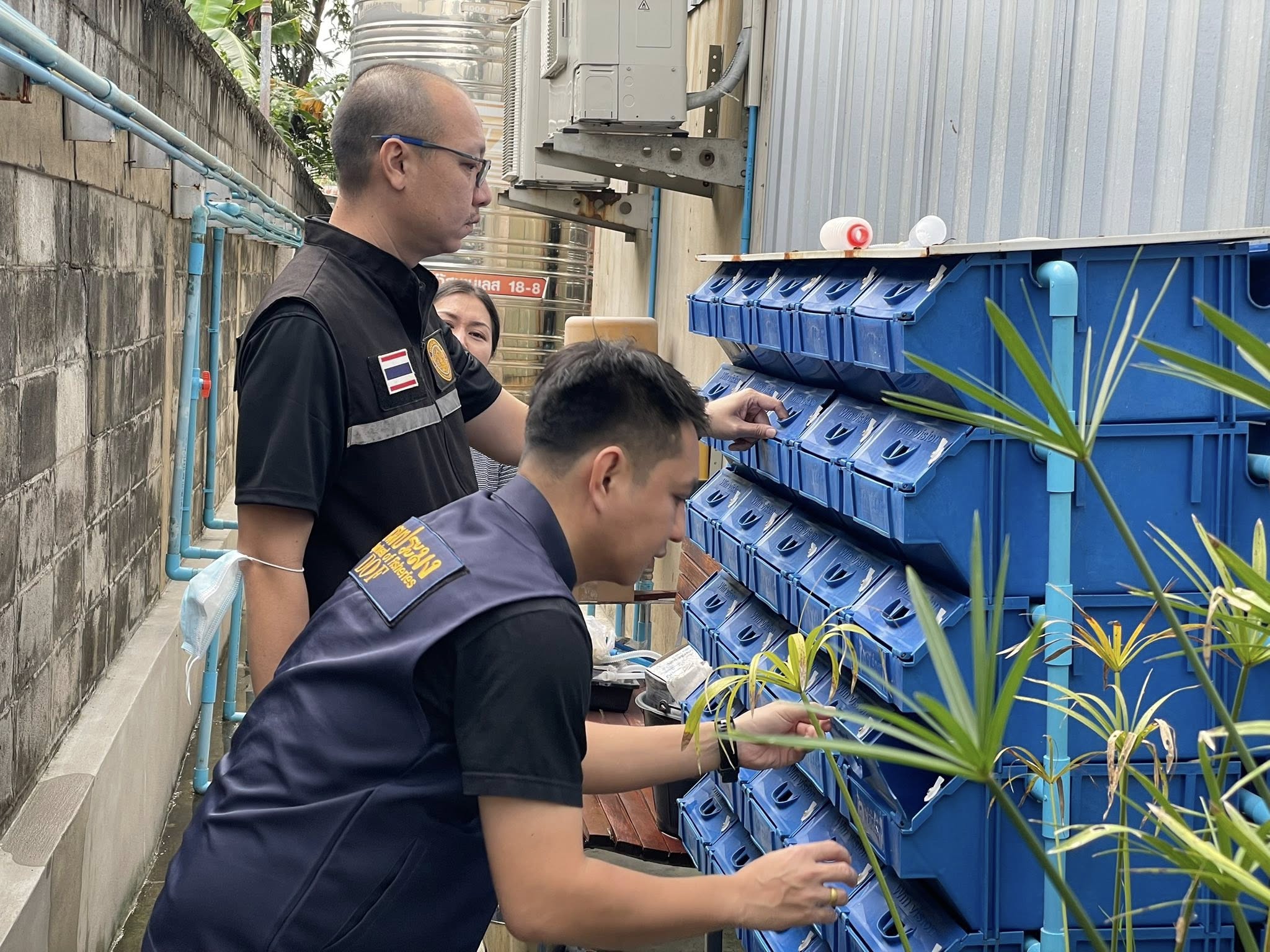 สำนักงานประมงพื้นที่กรุงเทพมหานคร ลงพื้นที่ตรวจประเมินสถานที่ทำการเพาะเลี้ยงสัตว์น้ำควบคุม เขตบางเขน กรุงเทพมหานคร