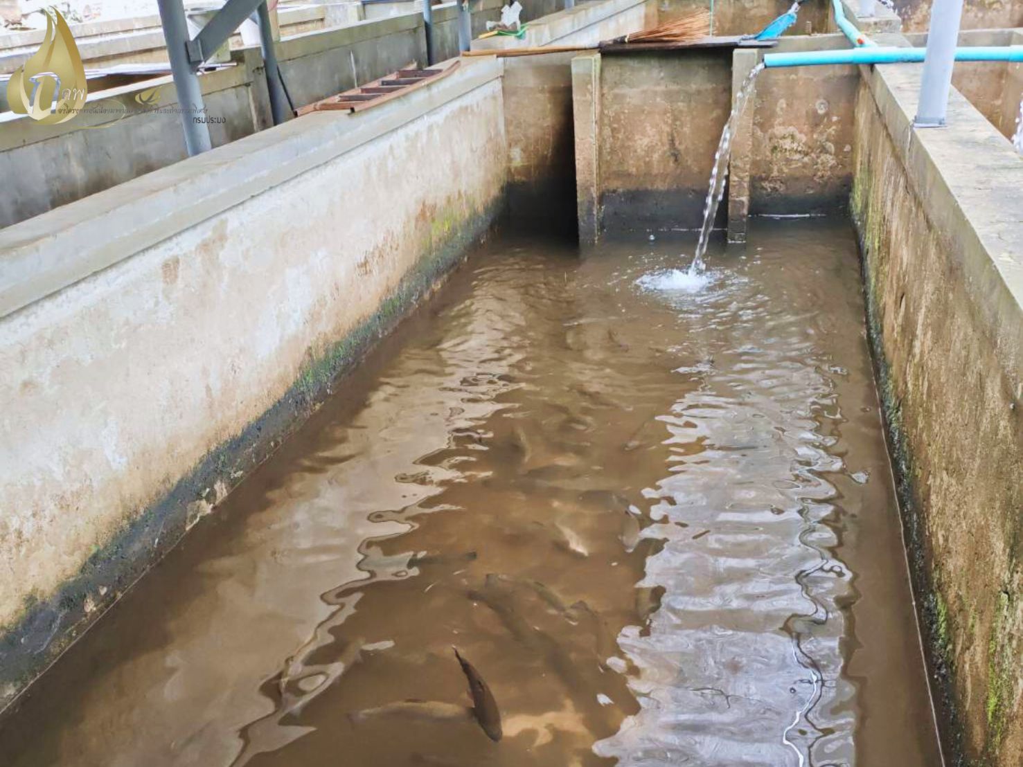 วันพุธที่ 5 พฤศจิกายน 2568 ณ จ