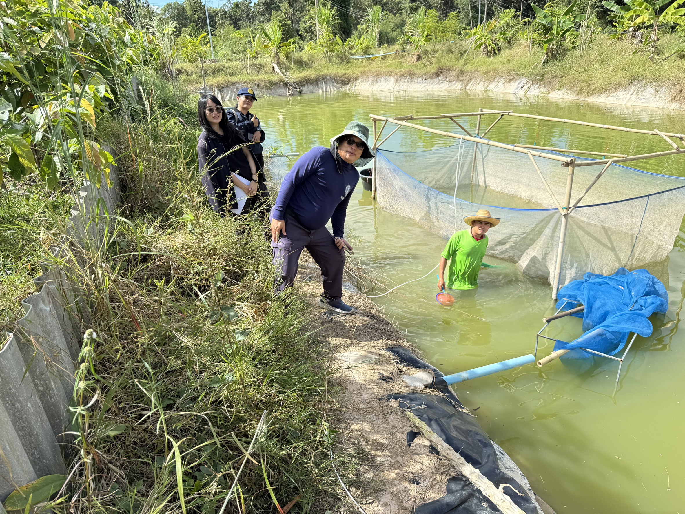 โครงการยกระดับมาตรฐานสินค้าเกษตร พื้นที่อำเภอปทุมราชวงศา จังหวัดอำนาจเจริญ