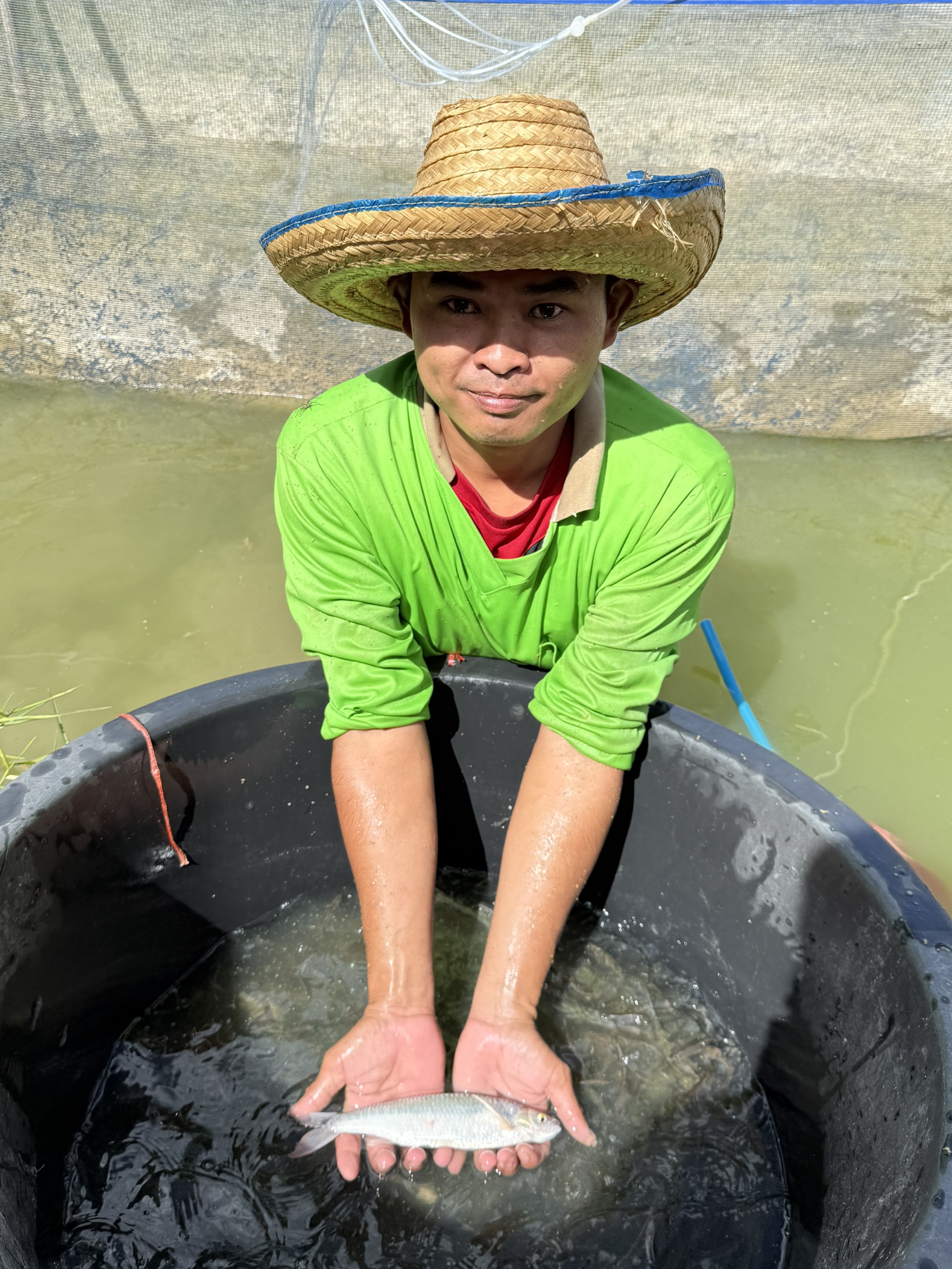 โครงการยกระดับมาตรฐานสินค้าเกษตร พื้นที่อำเภอปทุมราชวงศา จังหวัดอำนาจเจริญ