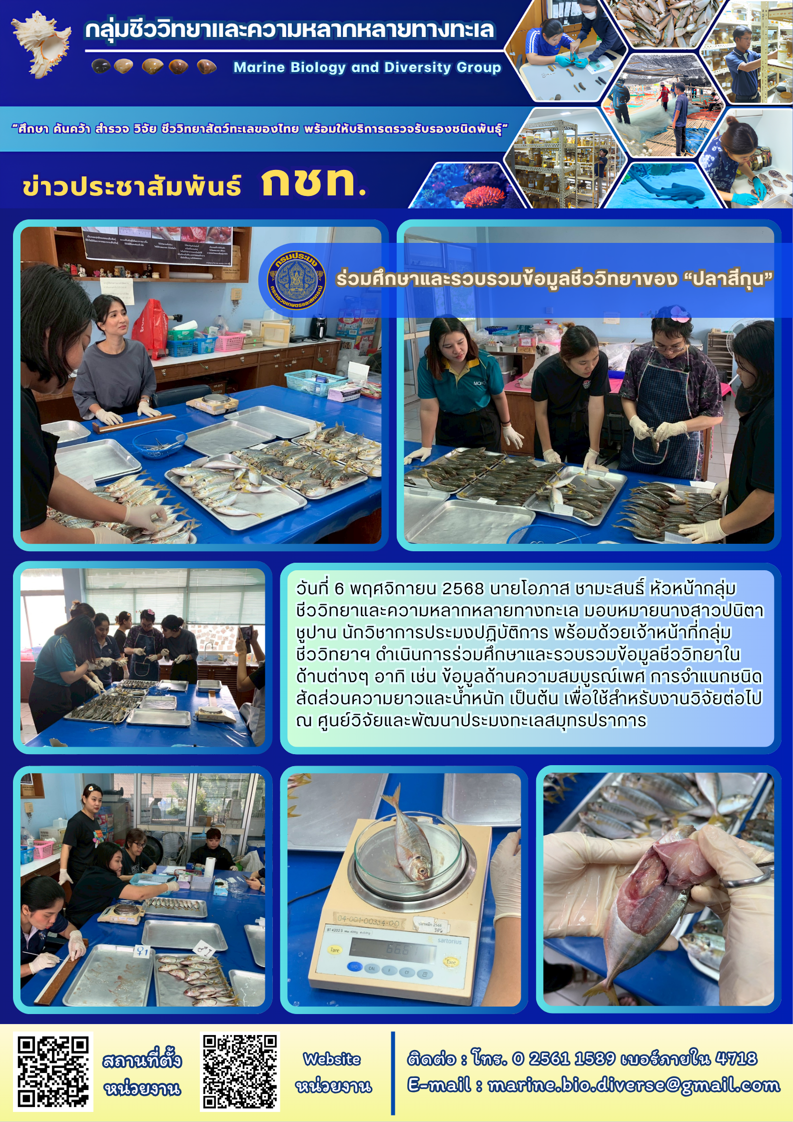 ร่วมศึกษาและรวบรวมข้อมูลชีววิทยาของ “ปลาสีกุน”..คลิก