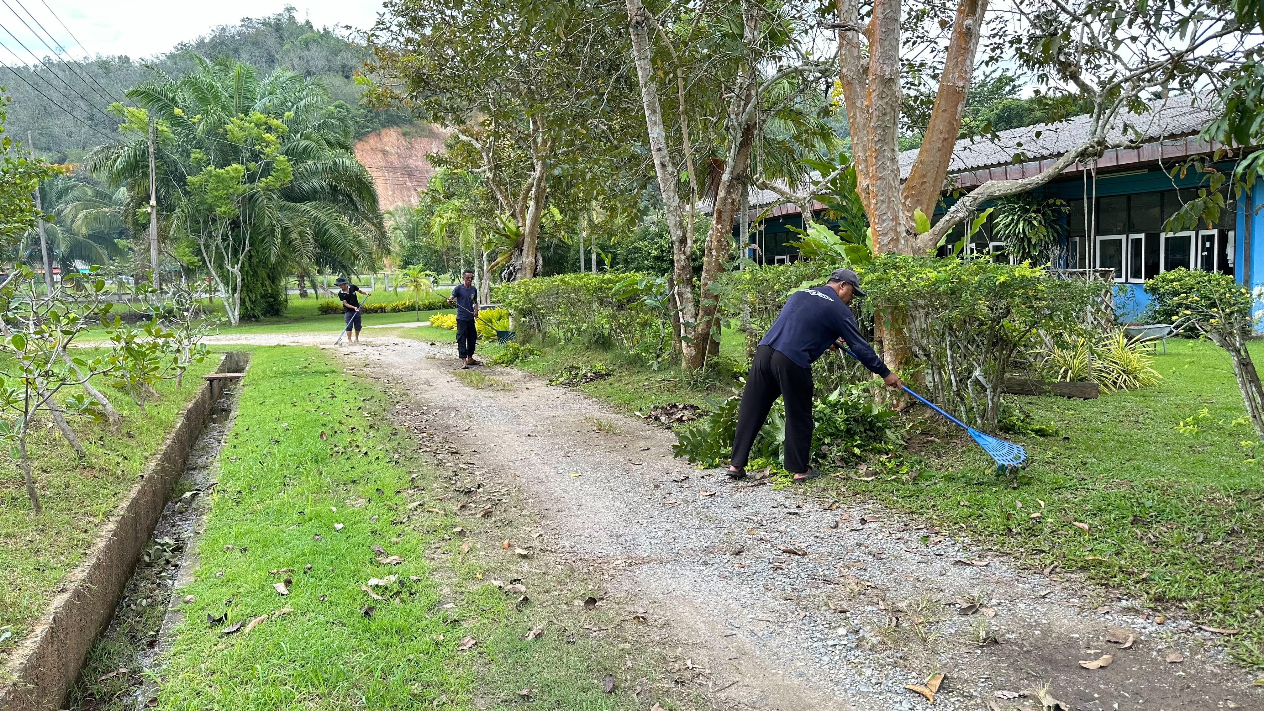 ภาพกิจกรรมปรับปรุงภูมิทัศน์บริเวณรอบหน่วย..คลิก