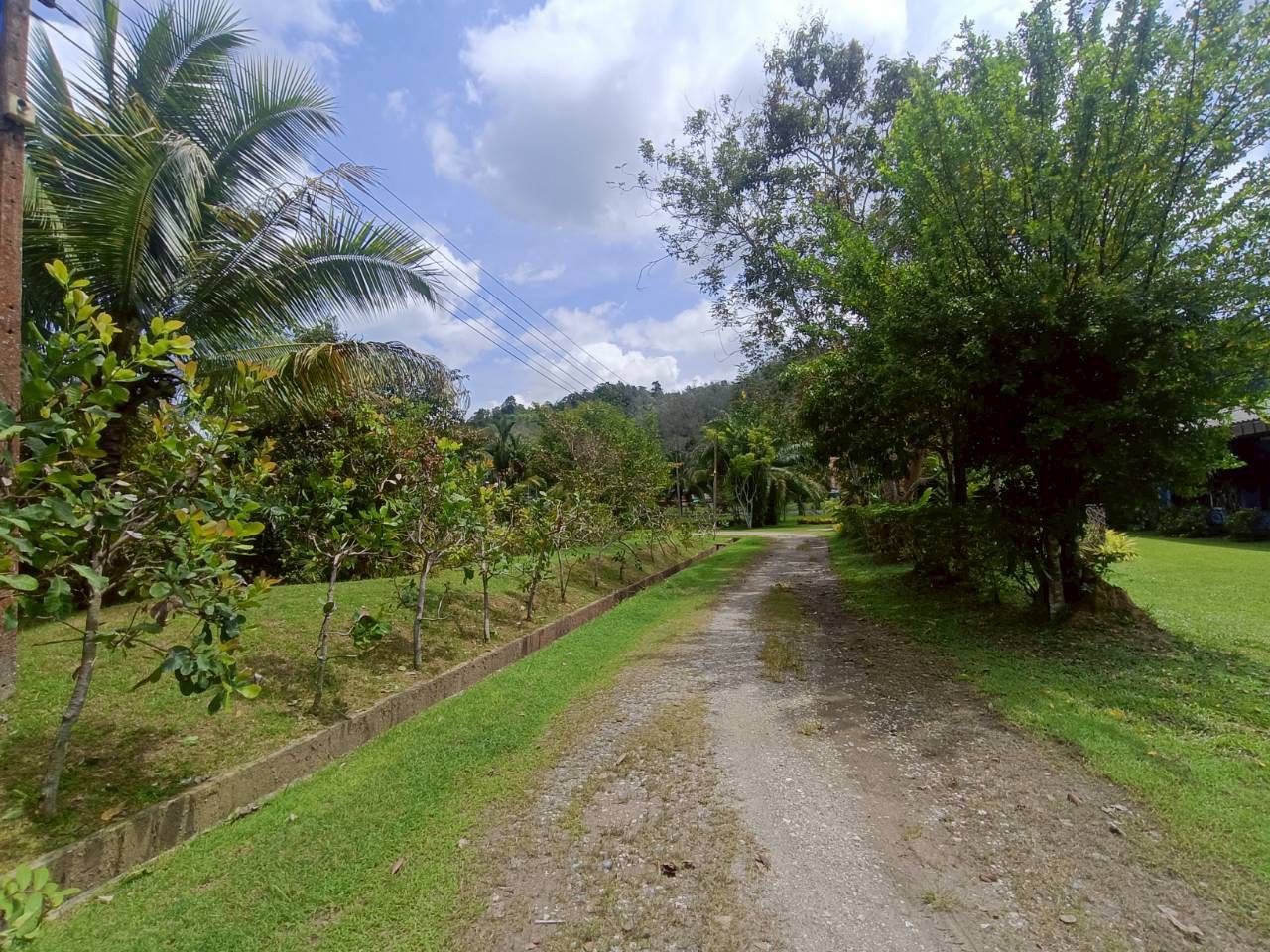 ภาพกิจกรรมปรับปรุงภูมิทัศน์บริเวณรอบหน่วย