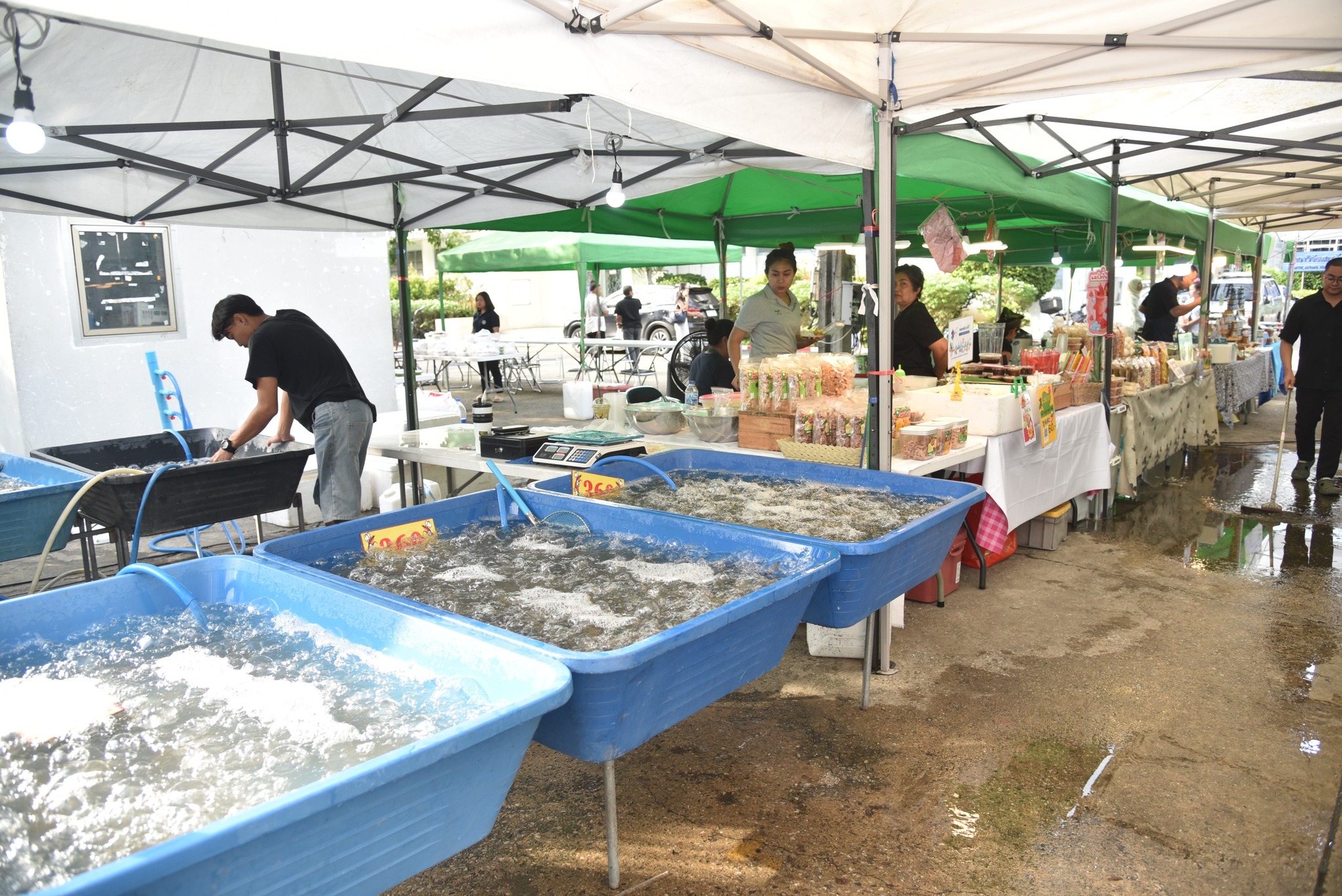 รูป ประกอบบทความ15