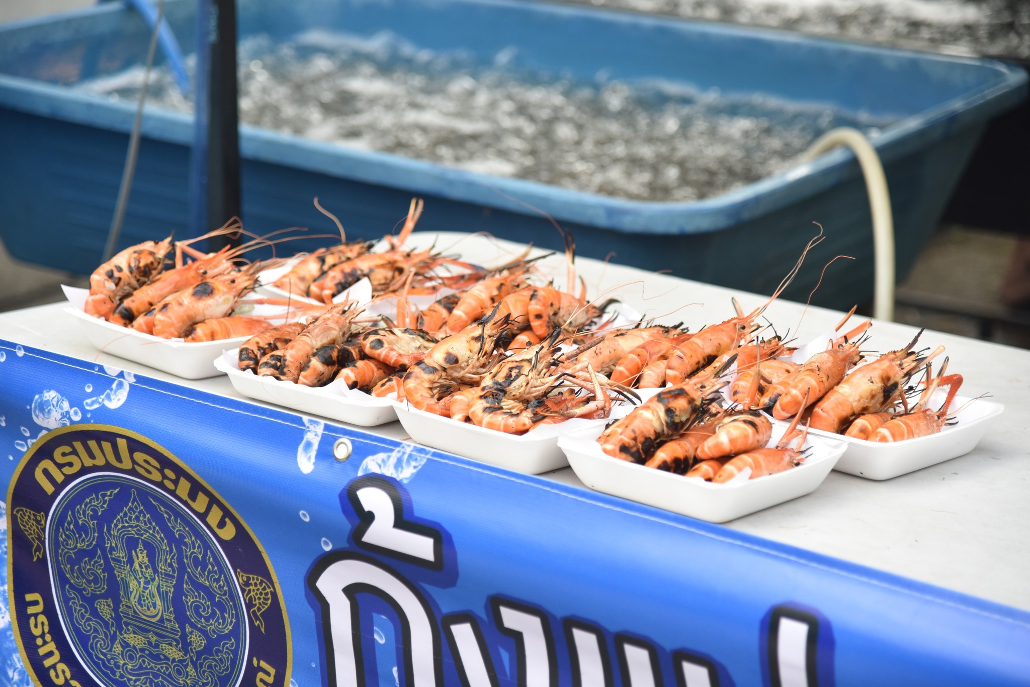 “งานตลาดประมงกลางกรุง ณ ทุ่งบา