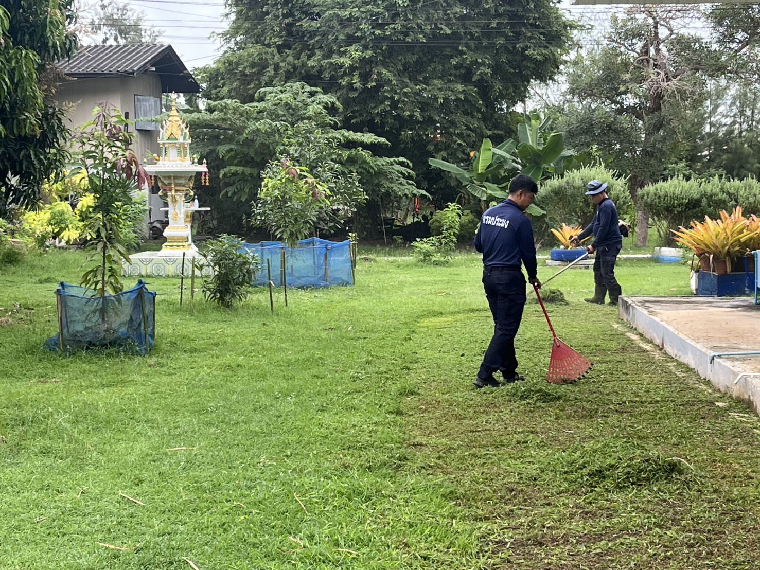 กิจกรรมปรับปรุงภูมิทัศน์บริเวณอาคารสำนักงาน