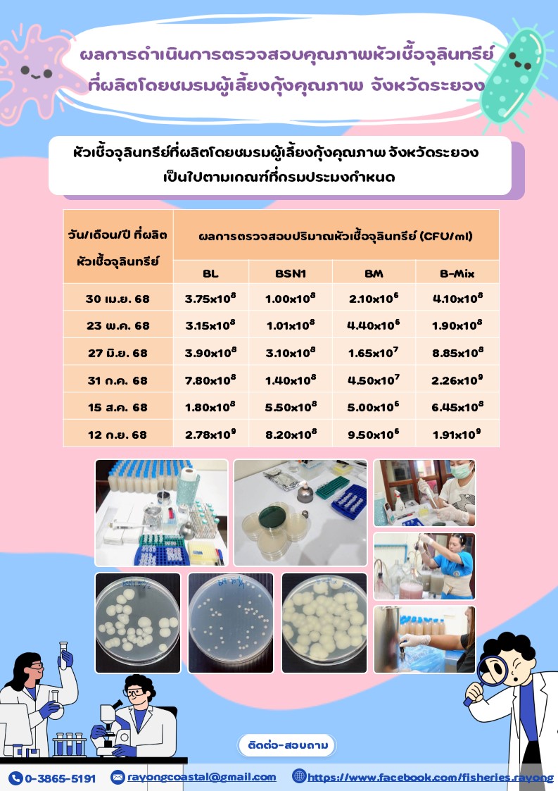 ข้อมูลการรับบริการหัวเชื้อจุลินทรีย์พื้นที่จังหวัดระยอง (เมษายน - สิงหาคม 2568)