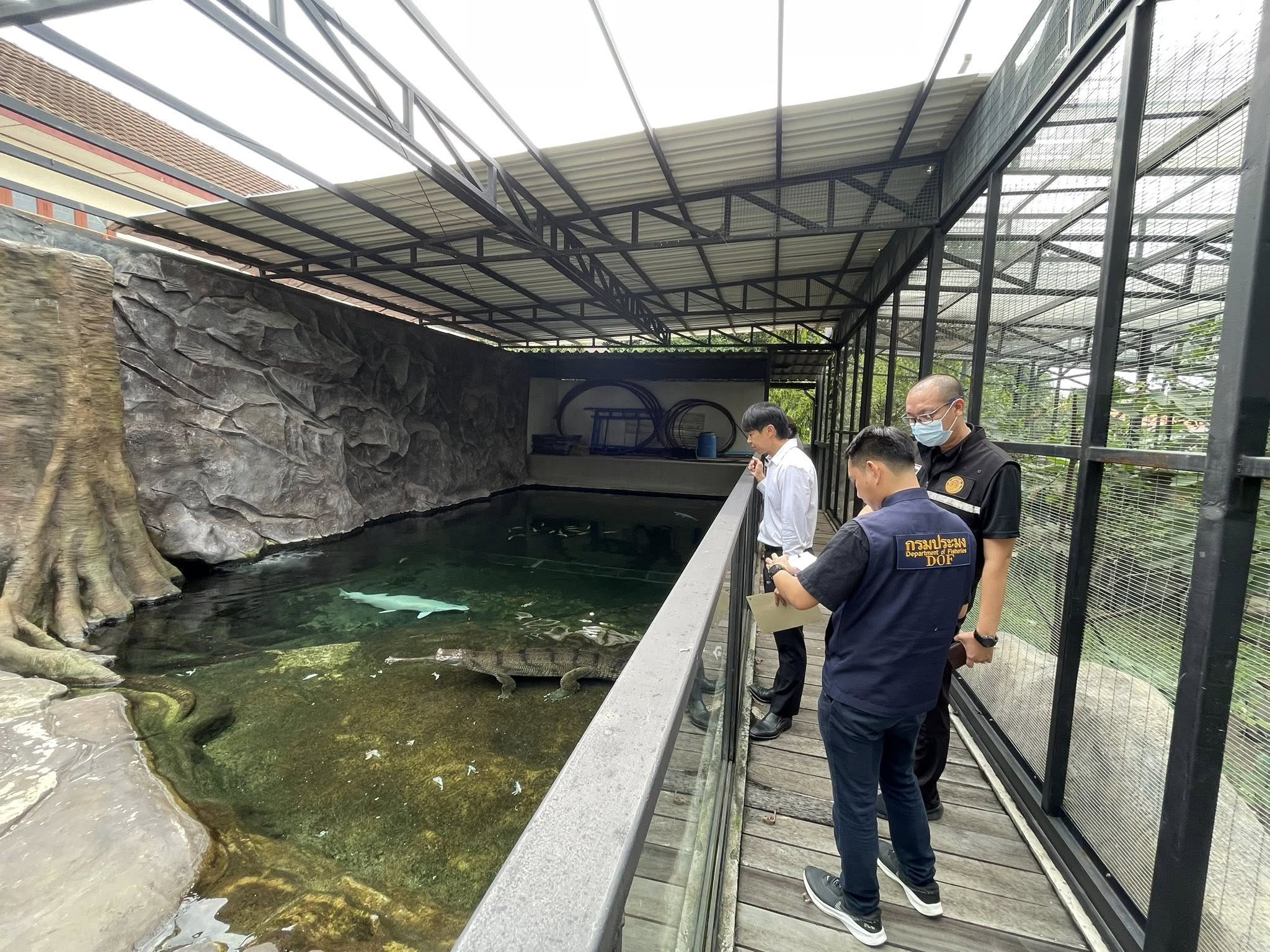 สำนักงานประมงพื้นที่กรุงเทพมหานคร โดยกลุ่มบริหารจัดการด้านการประมง ลงพื้นที่ติดตามสถานประกอบการเพาะเลี้ยงสัตว์น้ำควบคุม ประเภท การเพาะเลี้ยงจระเข้ ในพื้นที่เขตบึงกุ่ม กรุงเทพมหานคร