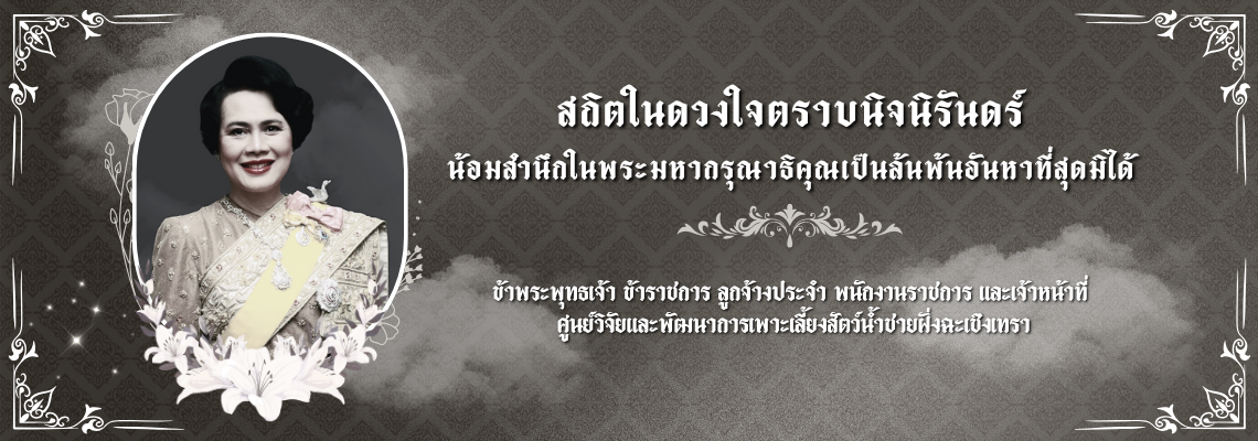 สถิตในดวงใจตราบนิจนิรันดร์..คลิก