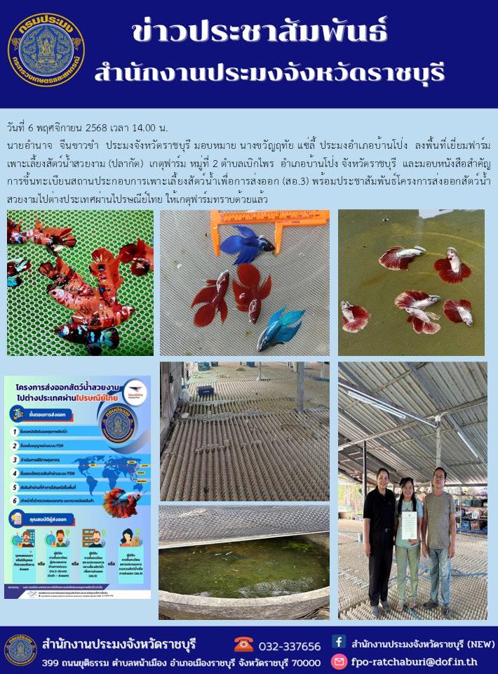 ลงพื้นที่เยี่ยมฟาร์มเพาะเลี้ยงสัตว์น้ำสวยงาม (ปลากัด)..คลิก