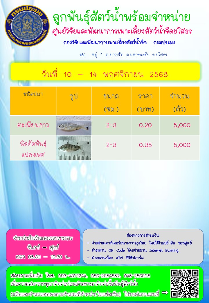 ลูกพันธุ์สัตว์น้ำพร้อมจำหน่าย 10 - 14 พ.ย. 2568..คลิก