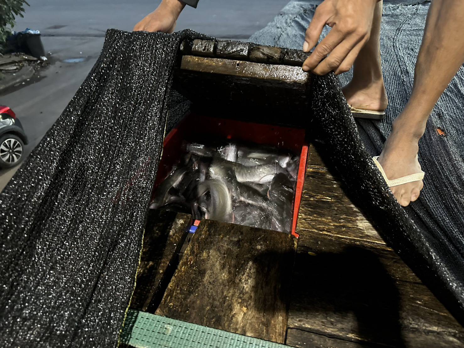 ข่าวกิจกรรม วันที่ 10 พฤศจิกายน 2568 เจ้าหน้าที่ด่านตรวจประมงนครพนม ดำเนินการตรวจสอบปลาดุกแอฟริกา มีชีวิต น้ำหนัก 7,500 กิโลกรัม ณ จุดผ่านแดนถาวรสะพานมิตรภาพไทย-ลาว แห่งที่ 3