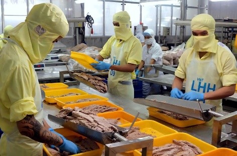 ทูน่าเวียดนามโดนภาษีนำเข้าจากสหรัฐอเมริกา 0% : เป็นโอกาสที่ดี แต่ความท้าทายก็มาก