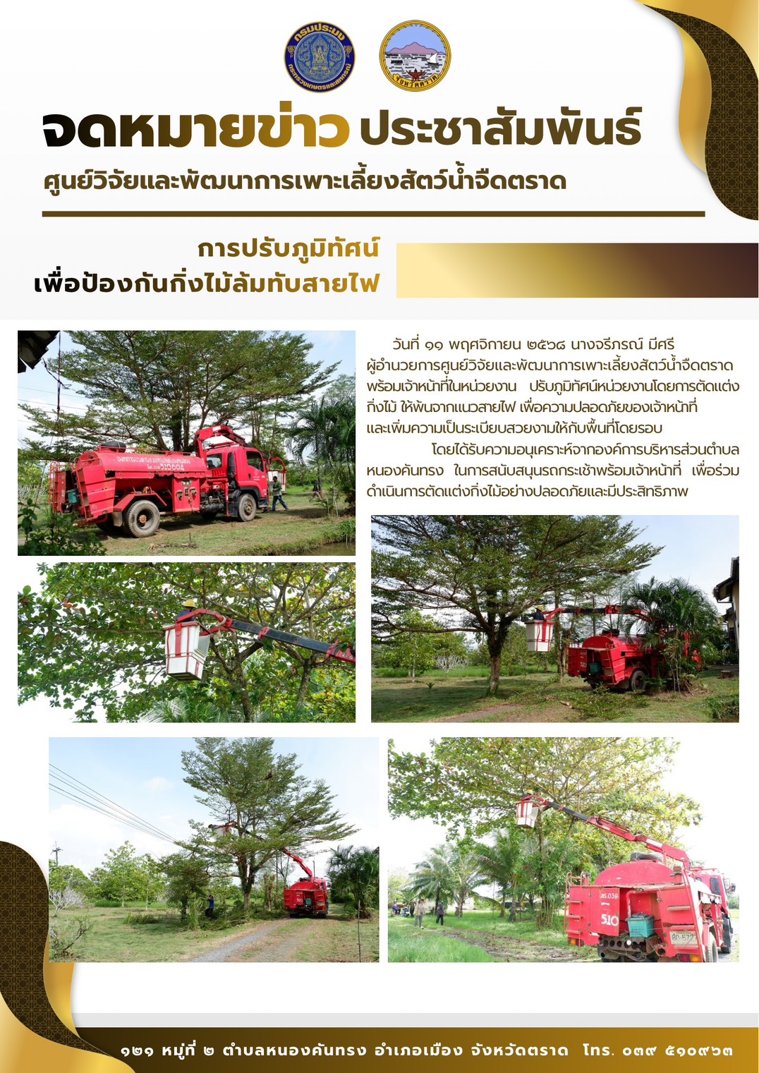 ปรับภูมิทัศน์หน่วยงานโดยการตัดแต่งกิ่งไม้