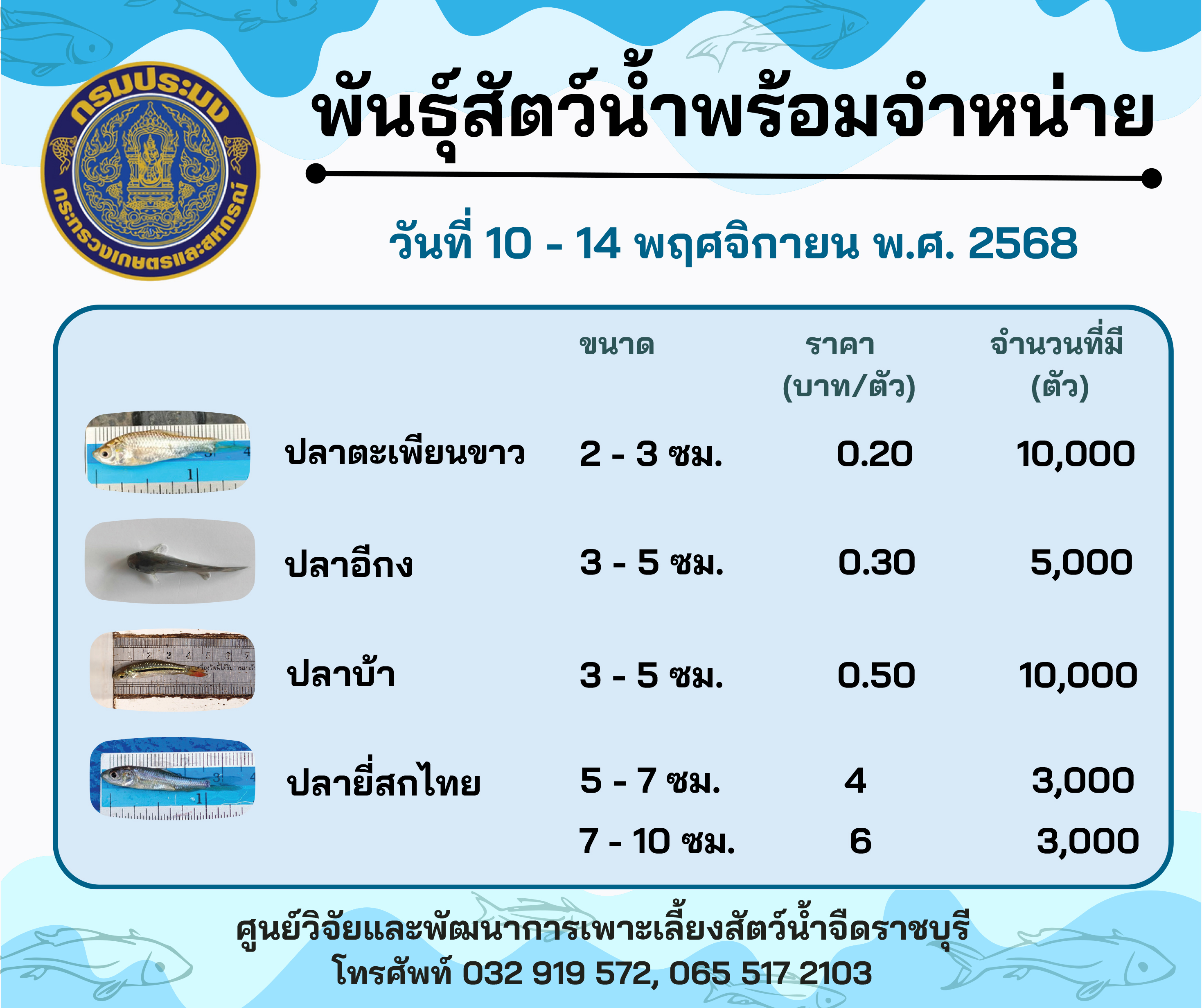 ลูกพันธุ์สัตว์น้ำพร้อมจำหน่ายสัปดาห์นี้ วันที่ 10 - 14 พฤศจิกายน พ.ศ. 2568..คลิก