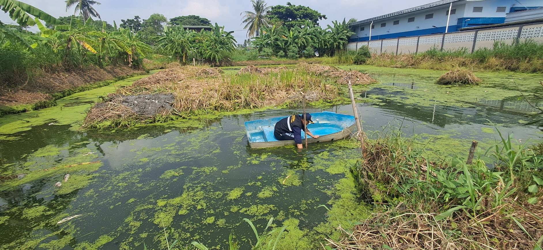 สำนักงานประมงพื้นที่กรุงเทพมหานคร ลงพื้นที่สำรวจ และติดตามบ่อเลี้ยงเกษตรกรผู้เลี้ยงสัตว์น้ำ พื้นที่เขตทุ่งครุ กรุงเทพมหานคร