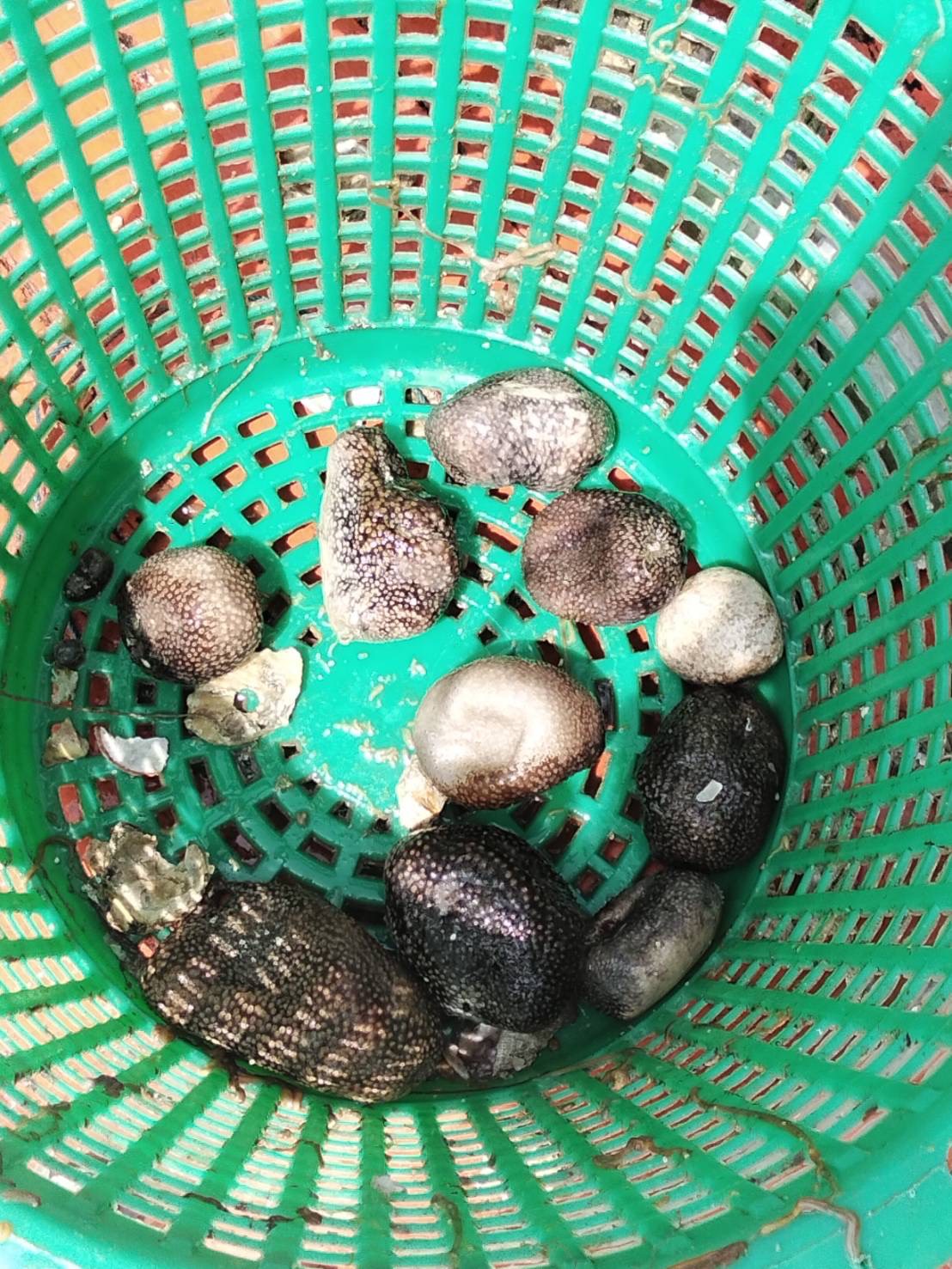 ออกปฏิบัติงานควบคุมเฝ้าระวังการกระทำความผิด..คลิก