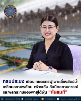 กรมประมง เตือนเกษตรกรผู้เพาะเลี้ยงสัตว์น้ำ เตรียมความพร้อม เฝ้าระวัง รับมือสถานการณ์สภาพอากาศแปรปรวน และผลกระทบของพายุไต้ฝุ่น “คัลแมกี”