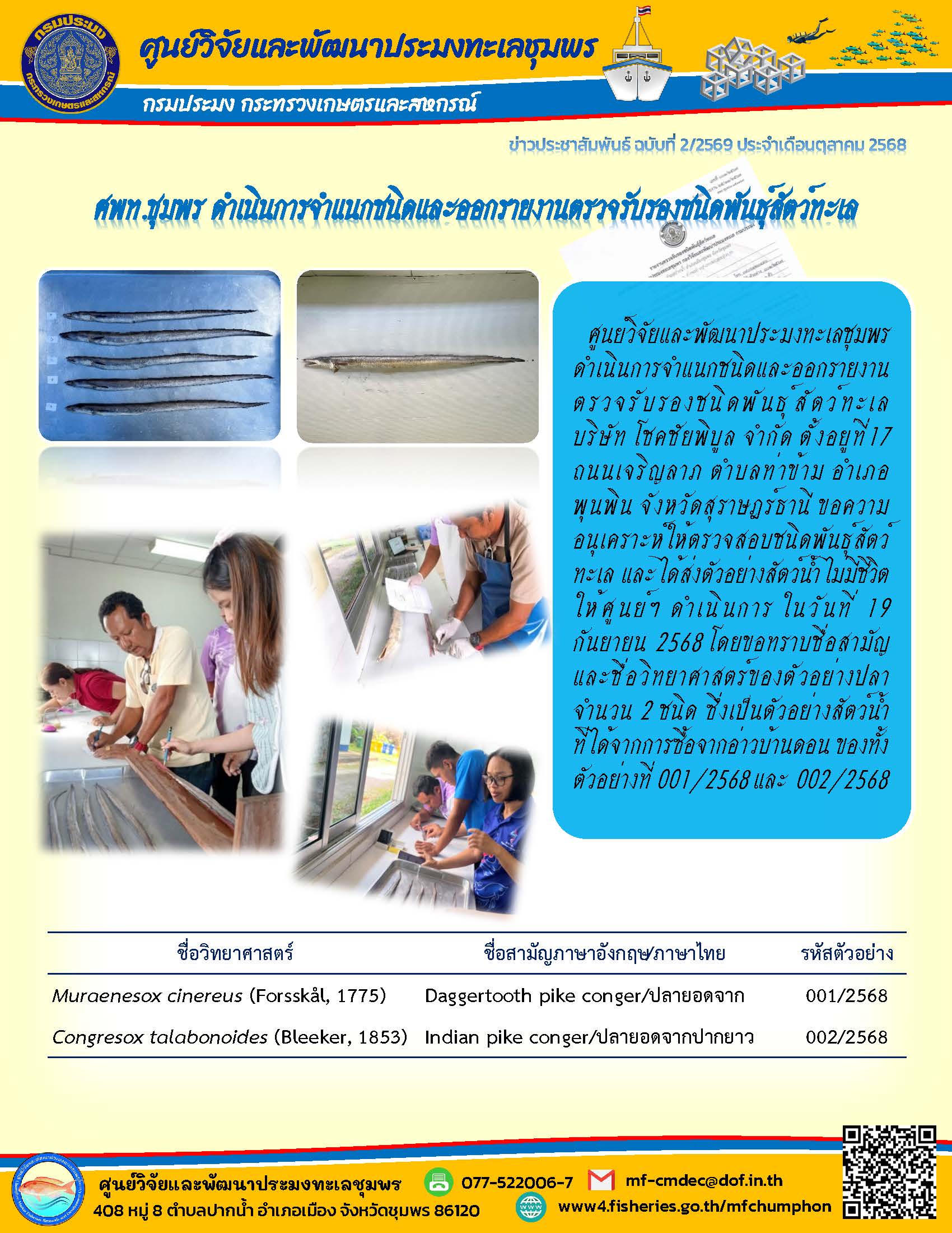 ศูนย์วิจัยและพัฒนาประมงทะเลชุมพรดำเนินการจำแนกชนิดและออกรายงานตรวจรับรองชนิดพันธุ์ สัตว์ทะเล บริษัท โชคชัยพิบูล จำกัด ตั้งอยู่ที่ 17 ถนนเจริญลาภ ตำบลท่าข้าม อำเภอพุนพิน จังหวัดสุราษฎร์ธานี ขอความอนุเคราะห์ให้ตรวจสอบชนิดพันธุ์สัตว์ทะเล และได้ส่งตัวอย่างสัตว์น้ำไม่มีชีวิตให้ศูนย์ฯ ดำเนินการ ในวันที่ 19 กันยายน 2568 ฯลฯ