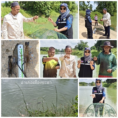 ผลการปฏิบัติงานประจำวันพฤหัสบดีที่ 13 พฤศจิกายน 2568..คลิก