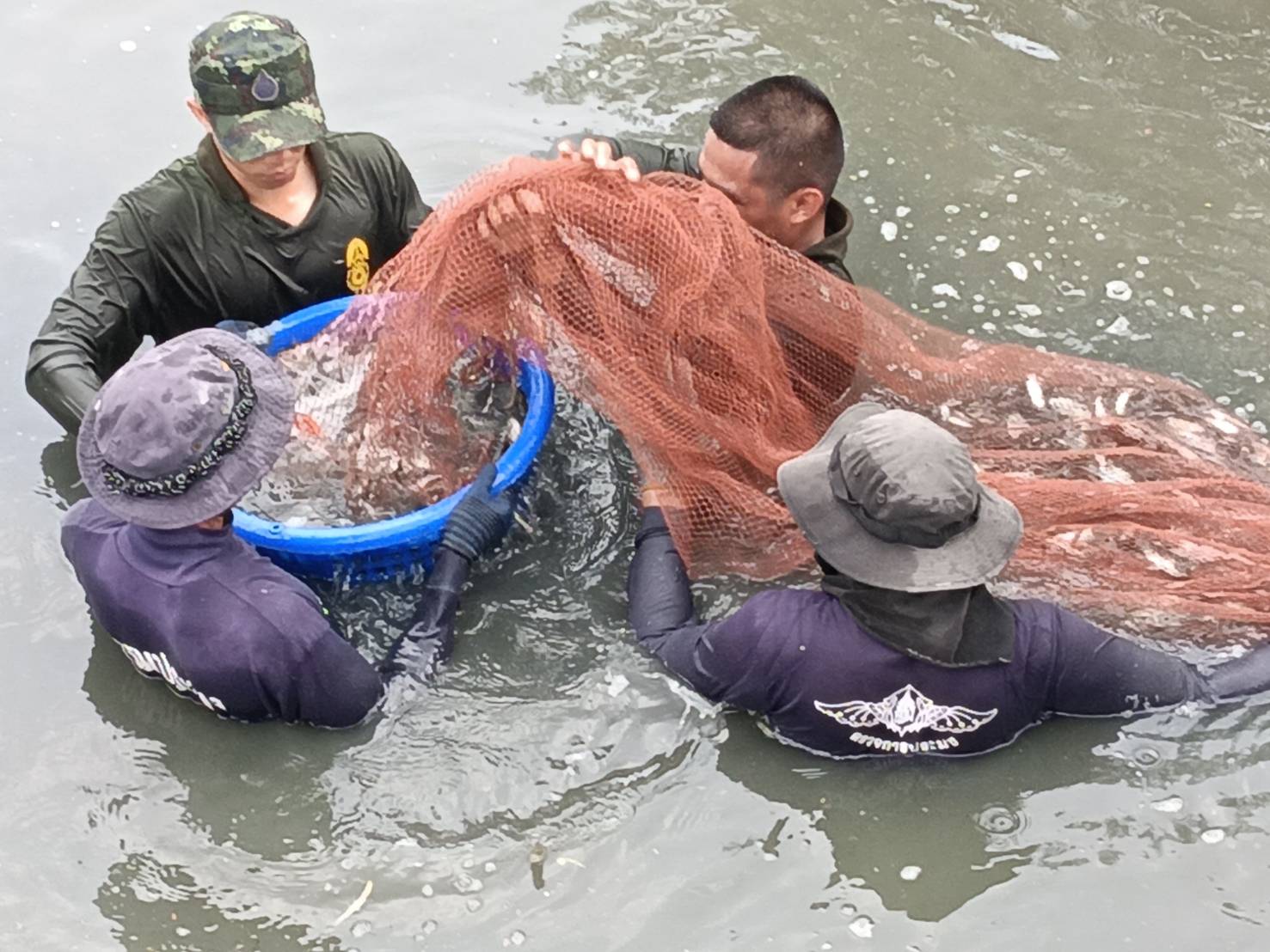  เข้าร่วมโครงการกิจกรรมบรูณาการช่วยเหลือสังคม กำจัดปลาหมอคางดำในรูปแบบ(CSR) ลงแขก ลงคลอง  