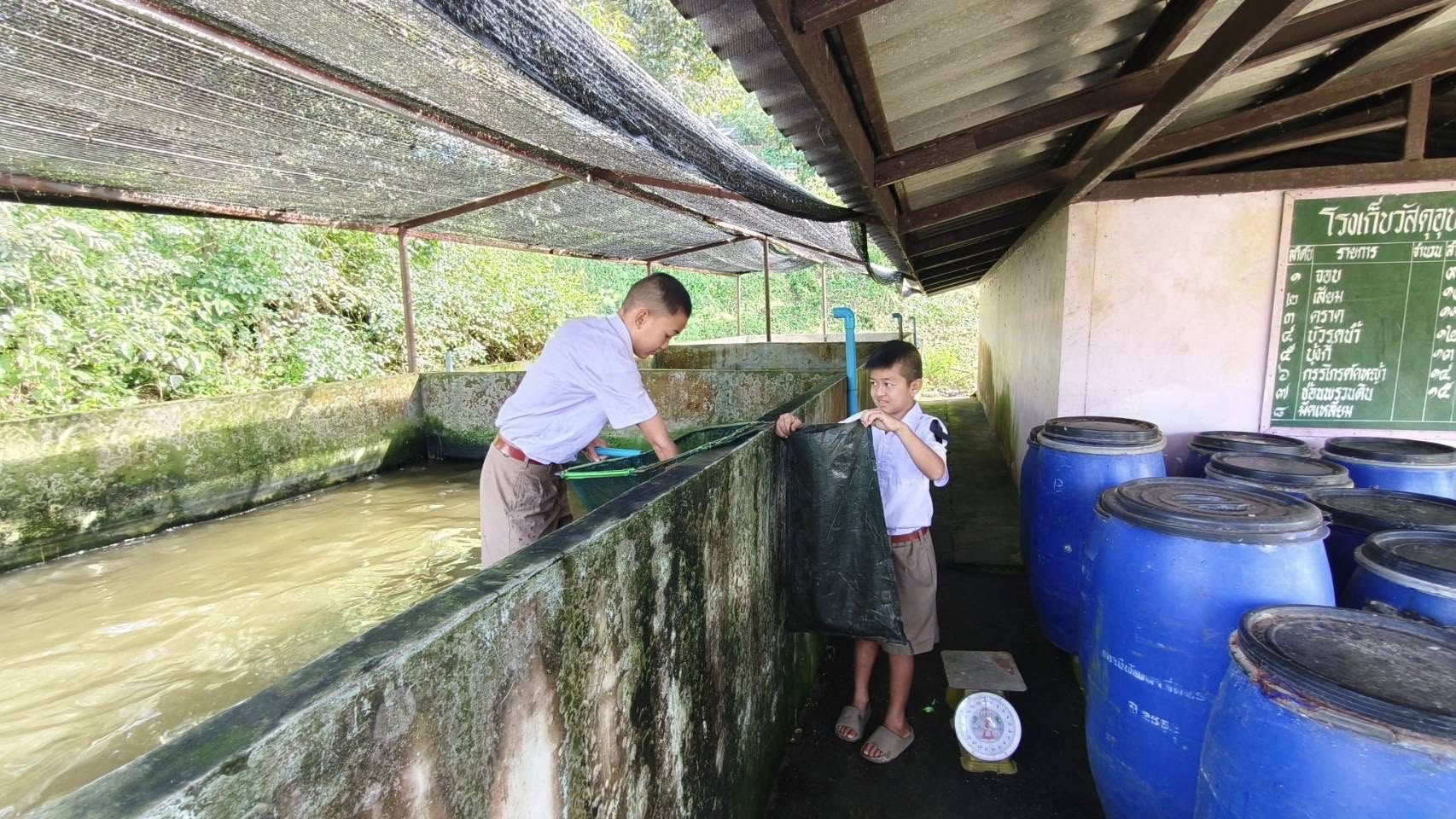 รูป ประกอบบทความ7