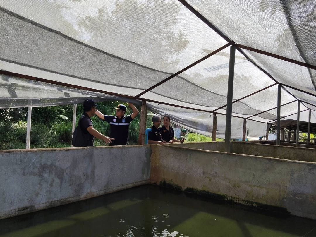 รูป ประกอบบทความ12