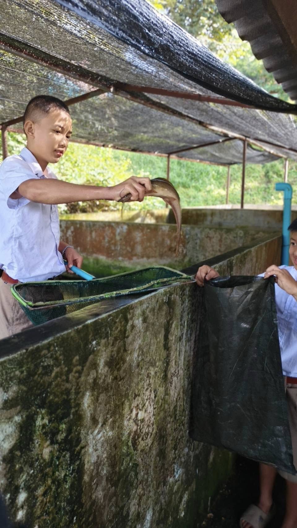 รูป ประกอบบทความ13