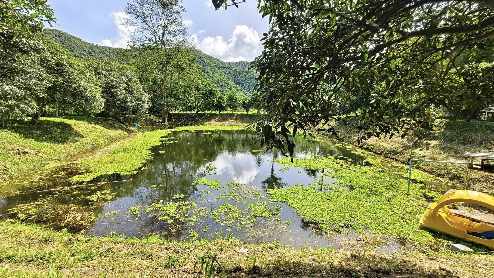 รูป ประกอบบทความ6