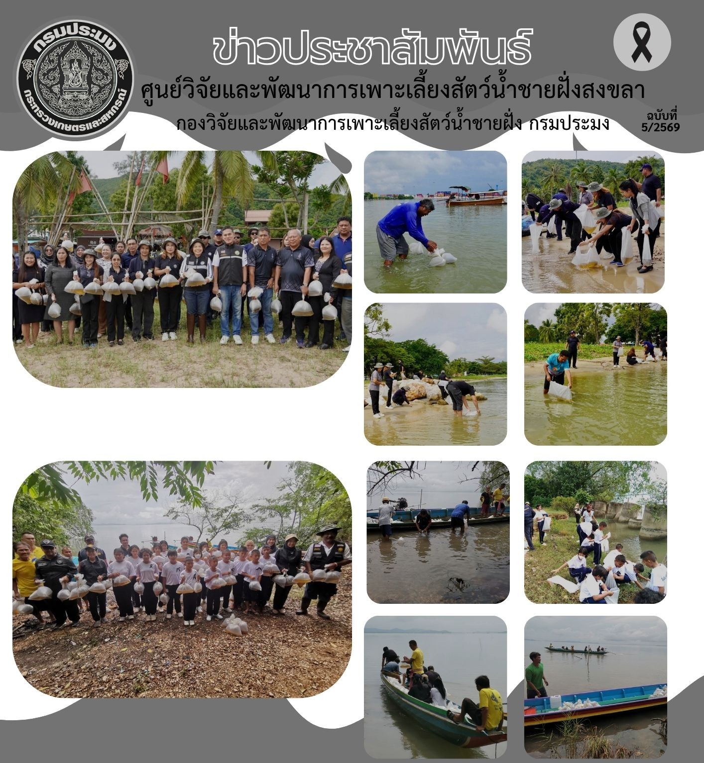    เมื่อวันที่ 14 พฤศจิกายน 2568 นางอาภรณ์  เทพพานิช ผู้อำนวยการศูนย์วิจัยและพัฒนาการเพาะเลี้ยงสัตว์น้ำชายฝั่งสงขลา มอบหมายให้นายนฤดม  พูลศิริ นักวิชาการประมง (พนักงานราชการ) ส่งมอบลูกพันธุ์กุ้งกุลาดำ