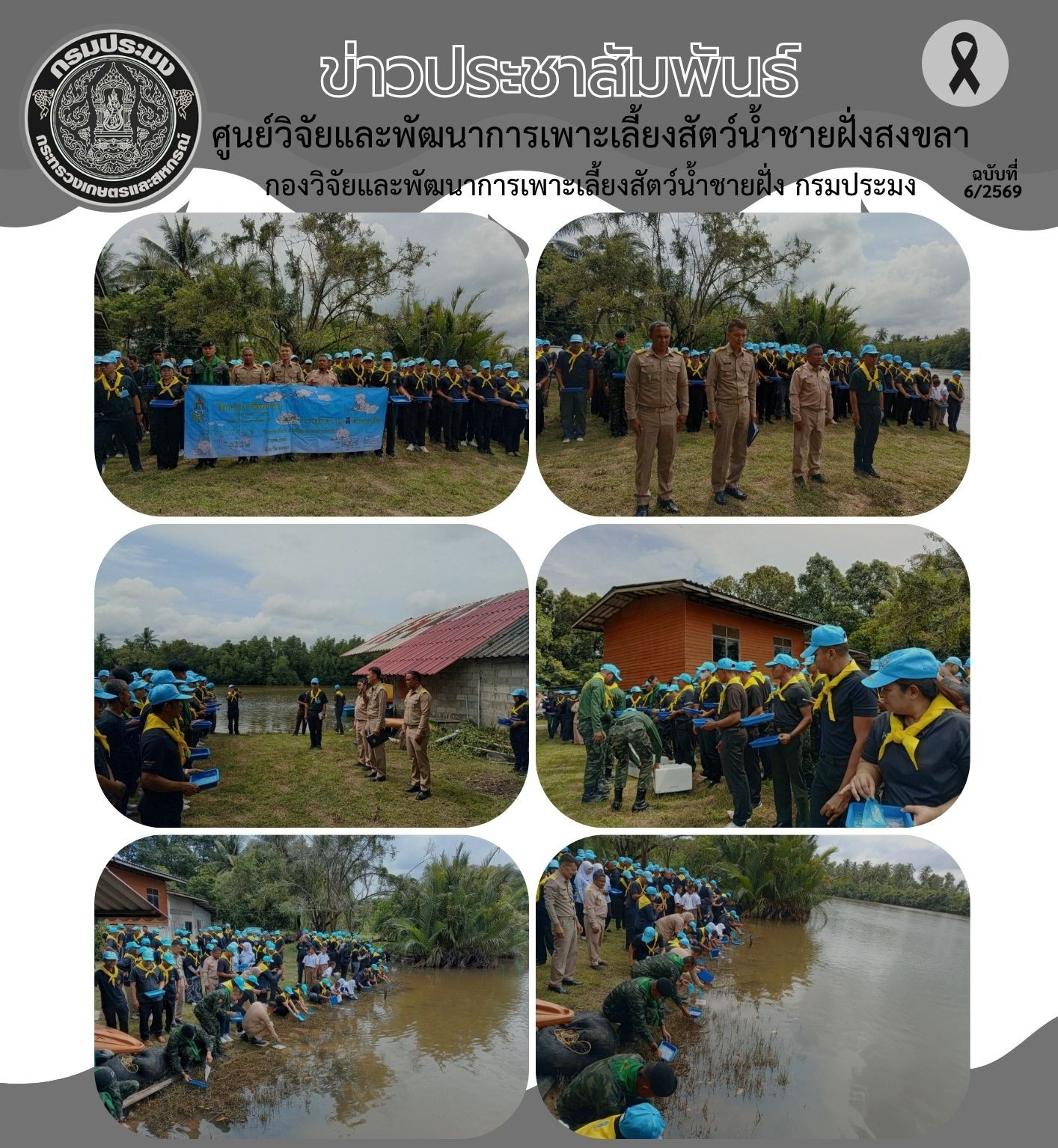 วันที่ 17 พฤศจิกายน 2568 นางอาภรณ์ เทพพานิช ผู้อำนวยการศูนย์วิจัยและพัฒนาการเพาะเลี้ยงสัตว์น้ำชายฝั่งสงขลา มอบหมายให้นายอุกฤษฏ์ ชูสุวรรณ นักวิชาการประมงปฏิบัติการ ร่วมกิจกรรมจิตอาสาปล่อยพันธุ์สัตว์น้ำ(ปูทะเล) เพื่อถวายเป็นพระราชกุศลแด่สมเด็จพระนางเจ้าสิริกิติ์ พระบรมราชินีนาถ พระบรมราชชนนีพันปีหลวง