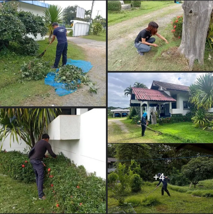 ปรับปรุงภูมิทัศน์อาคารสำนัก..คลิก