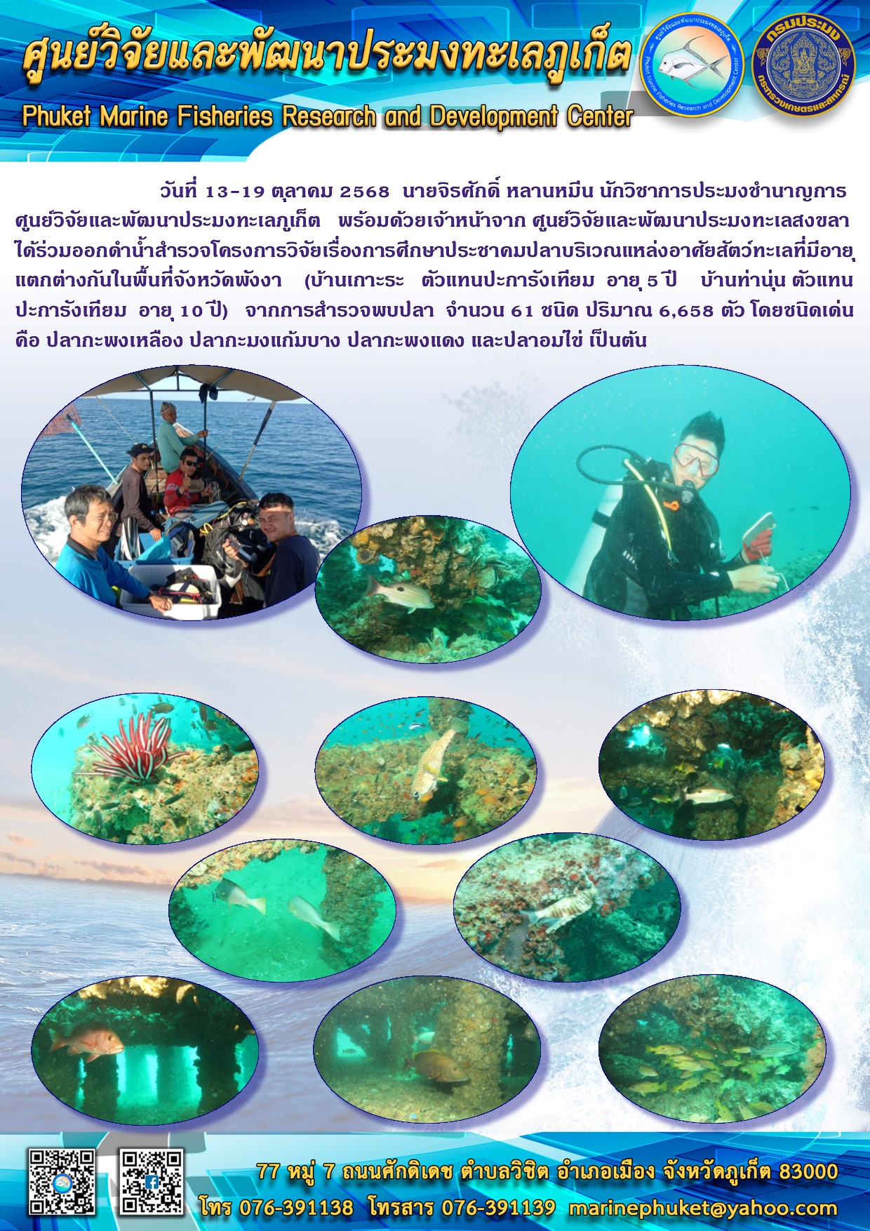 วันที่ 13-19 ตุลาคม 2568 นายจิรศักดิ์ หลานหมีน นักวิชาการประมงชำนาญการ ศูนย์วิจัยและพัฒนาประมงทะเลภูเก็ต พร้อมด้วยเจ้าหน้าจาก ศูนย์วิจัยและพัฒนาประมงทะเลสงขลาได้ร่วมออกดำน้ำสำรวจโครงการวิจัยเรื่องการศึกษาประชาคมปลาบริเวณแหล่งอาศัยสัตว์ทะเลที่มีอายุแตกต่างกันในพื้นที่จังหวัดพังงา ฯลฯ