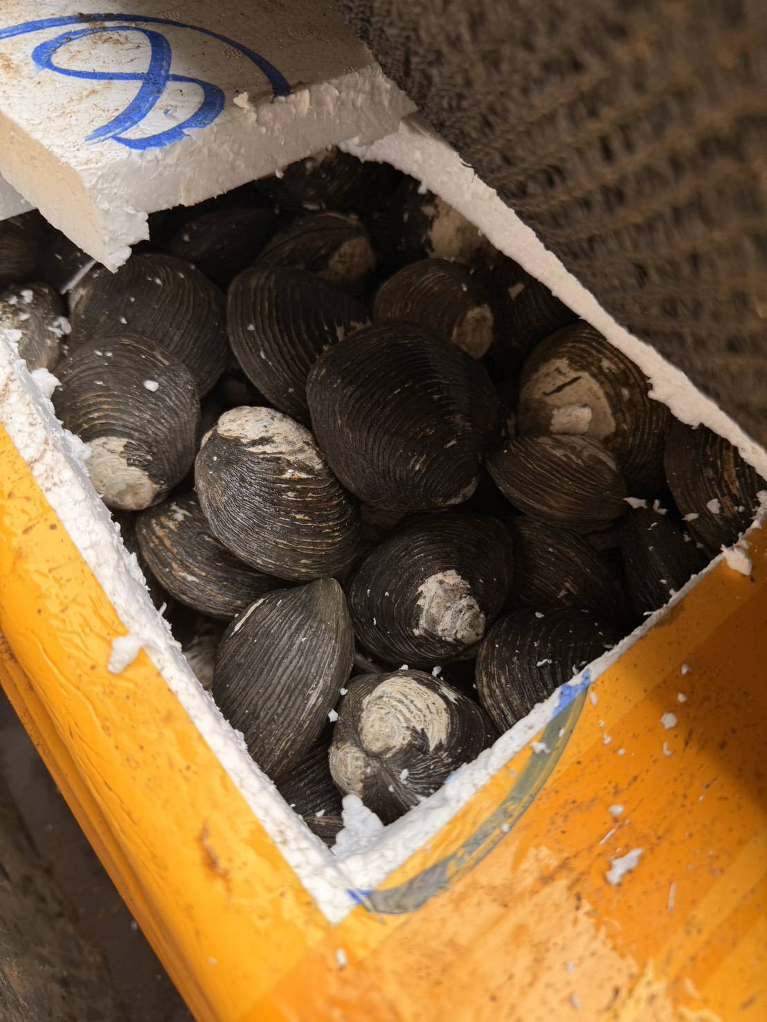 ข่าวกิจกรรม วันที่ 17 พฤศจิกายน 2568 เจ้าหน้าที่ด่านตรวจประมงนครพนม ตรวจสอบสัตว์น้ำส่งออก  ณ อาคารตรวจสินค้าและเก็บของกลาง ด่านศุลกากรนครพนม