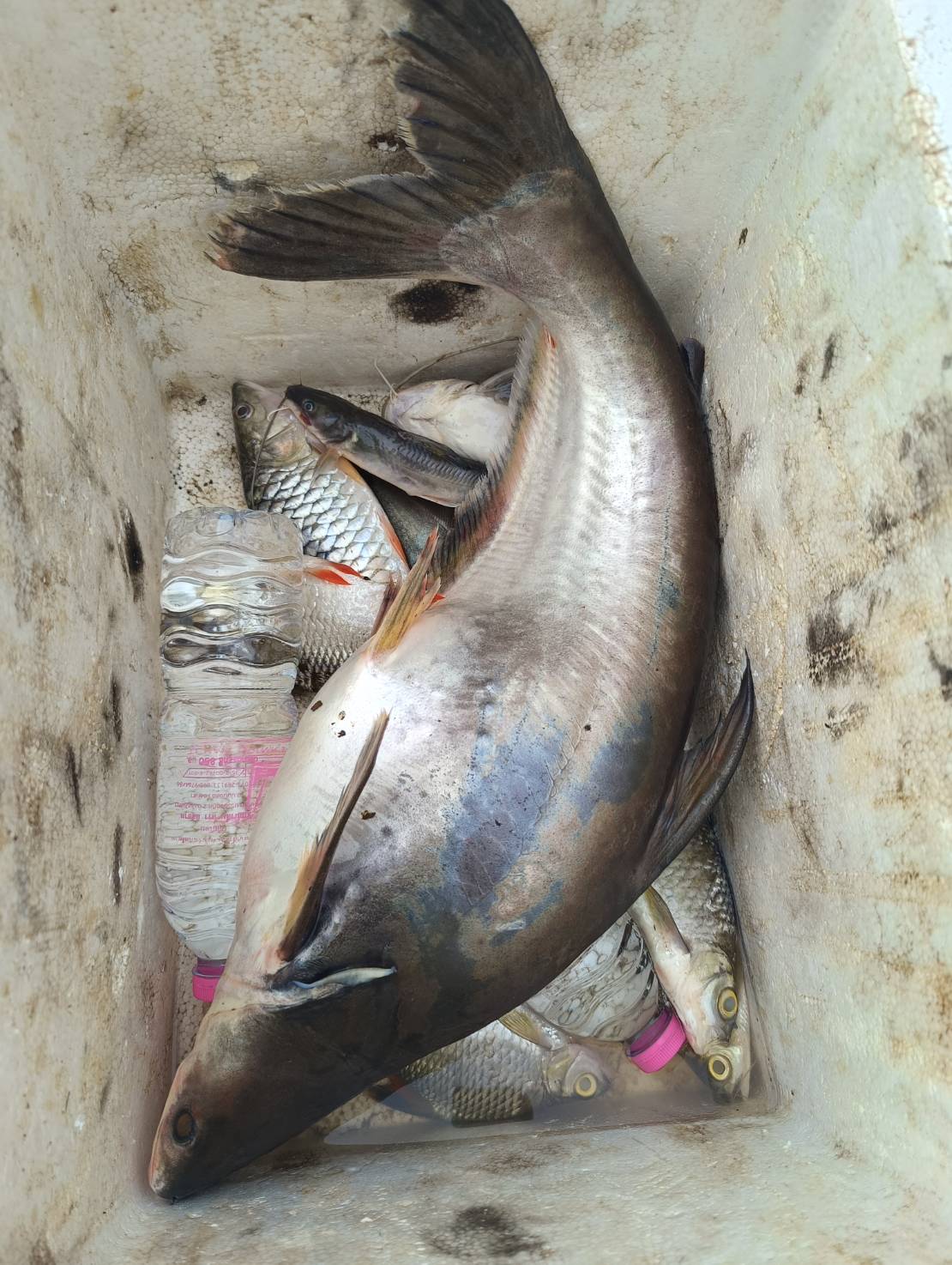 อกปฏิบัติงาน ตามแผนงาน โครงการบริหารจัดการทรัพยากรประมง กิจกรรมการจัดระเบียบการทำการประมง การติดตาม เฝ้าระวัง การทำการประมงพื้นที่น่านน้ำภายใน ในช่วงฤดูสัตว์น้ำจืดมีไข่ วางไข่ เลี้ยงตัวอ่อน ประจำปีงบประมาณ 2569 