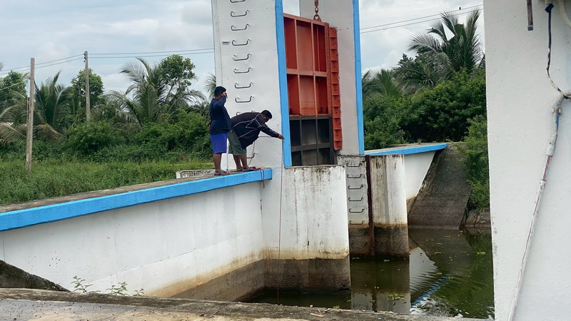 รูป ประกอบบทความ2