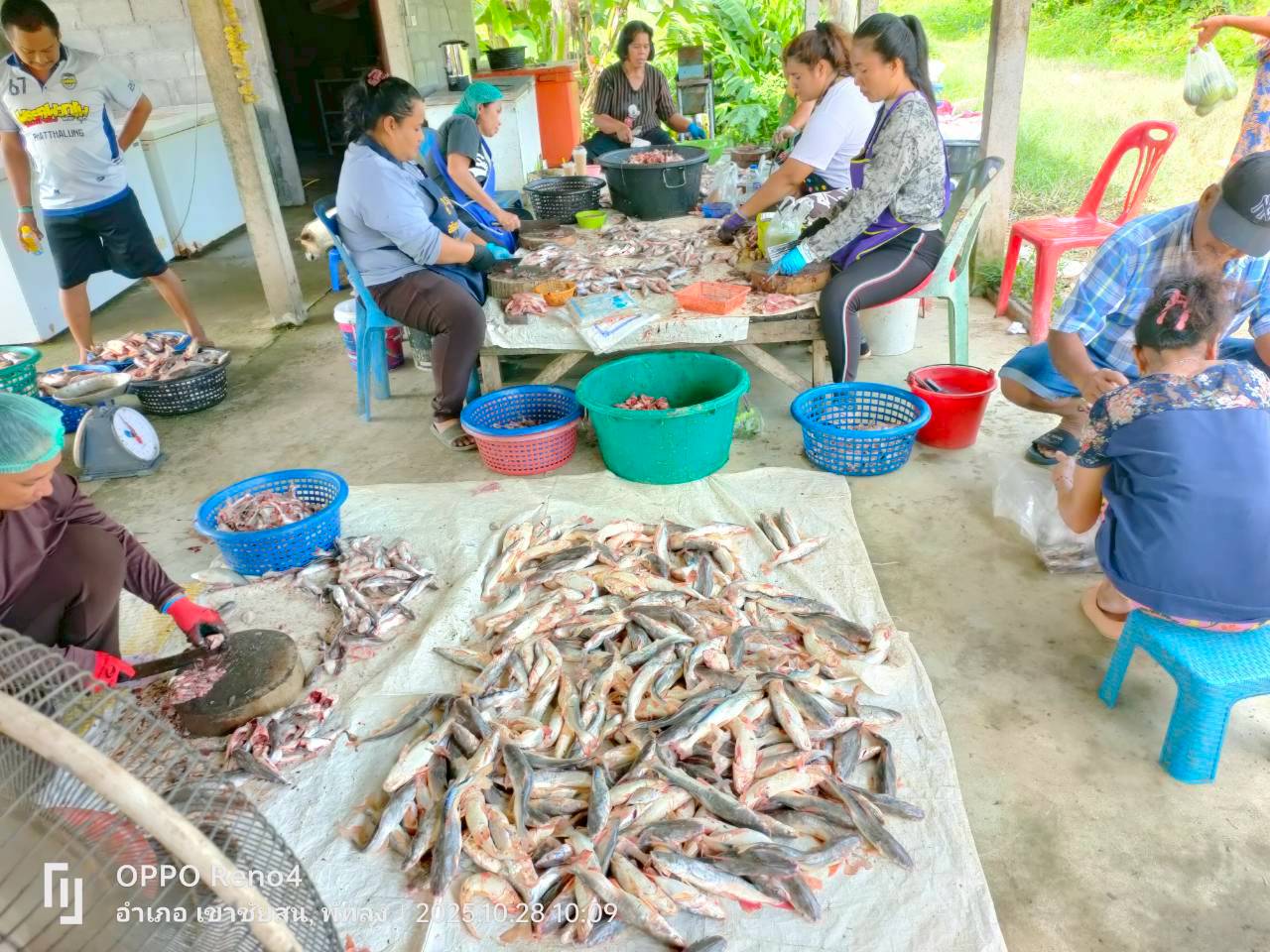 สภาวะสัตว์น้ำรอบทะเลสาบสงขลา เดือนตุลาคม 2568