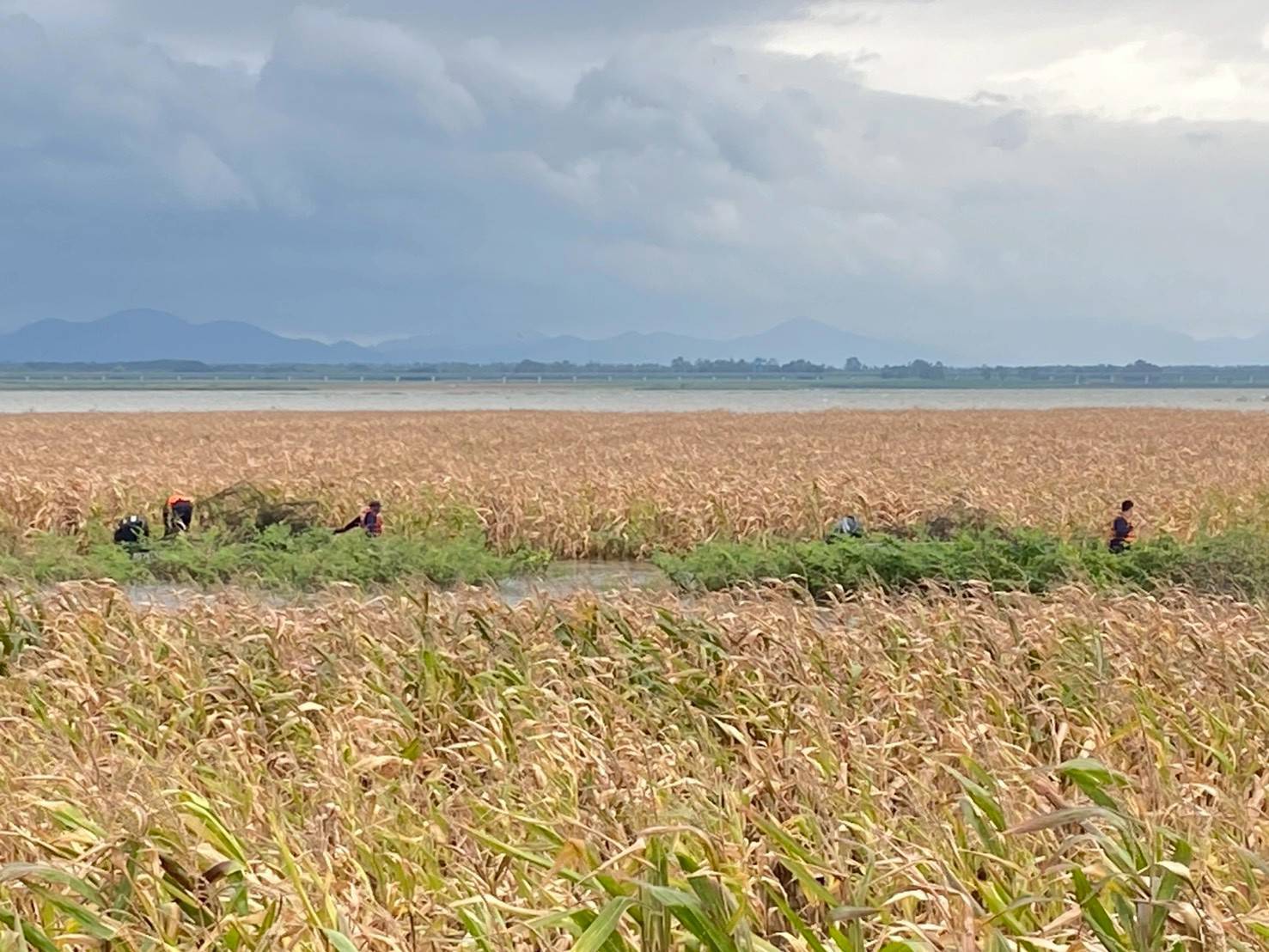 ศูนย์ป้องกันและปราบปรามประมงน้ำจืดนครราชสีมา ออกปฏิบัติงานควบคุมเฝ้าระวังการทำการประมงผิดกฎหมาย ในพื้นที่อำเภอปากช่อง จังหวัดนครราชสีมา